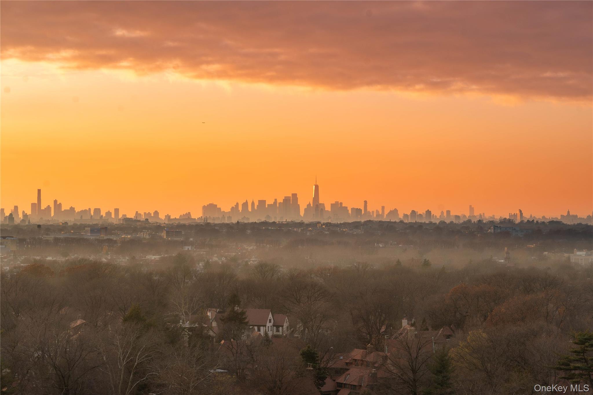 #12 photo, 118-18 Union Turnpike, クイーンズ区 Kew Gardens , NY 11415