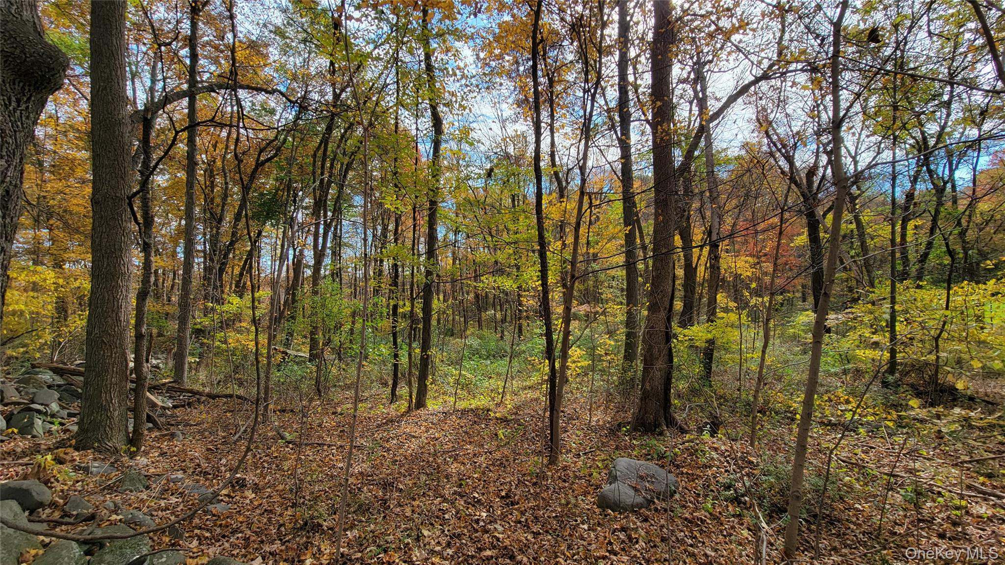 #1 photo, 15 Rose Estates, Walden , NY 12586