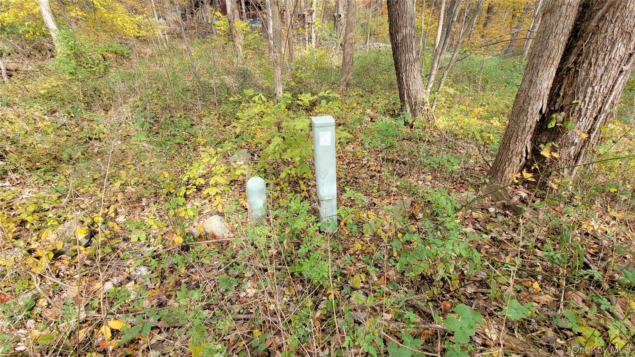 #2 photo, 15 Rose Estates, Walden , NY 12586