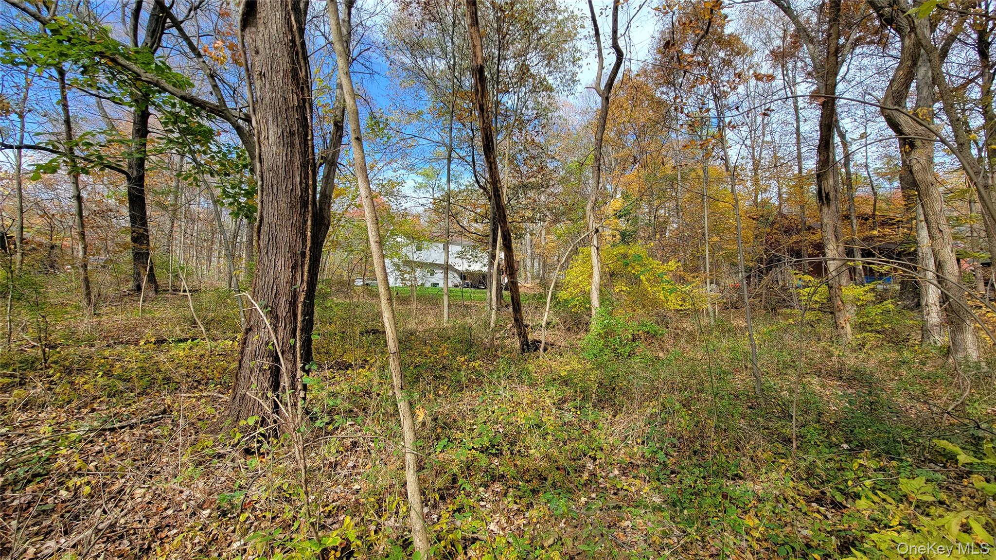 #6 photo, 15 Rose Estates, Walden , NY 12586