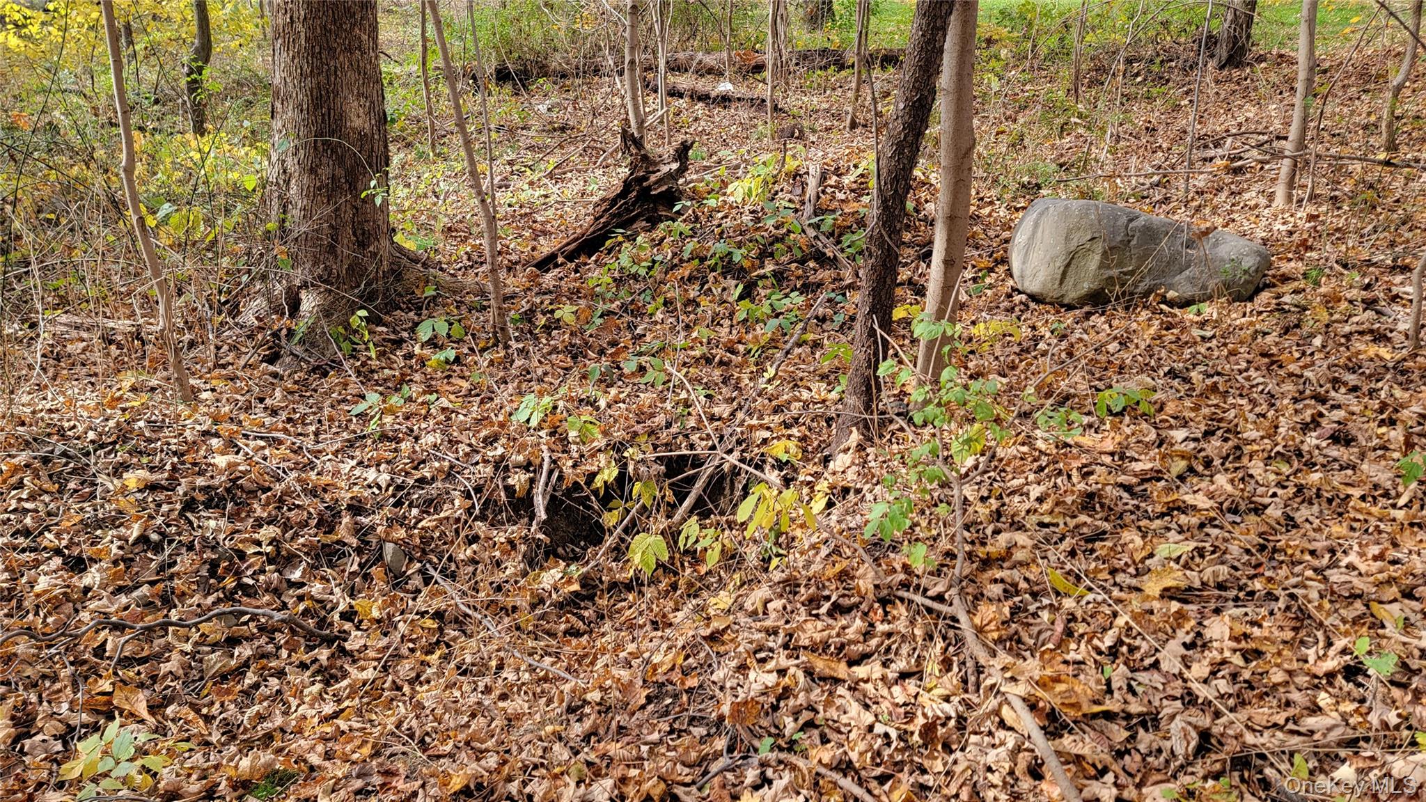 #7 photo, 15 Rose Estates, Walden , NY 12586