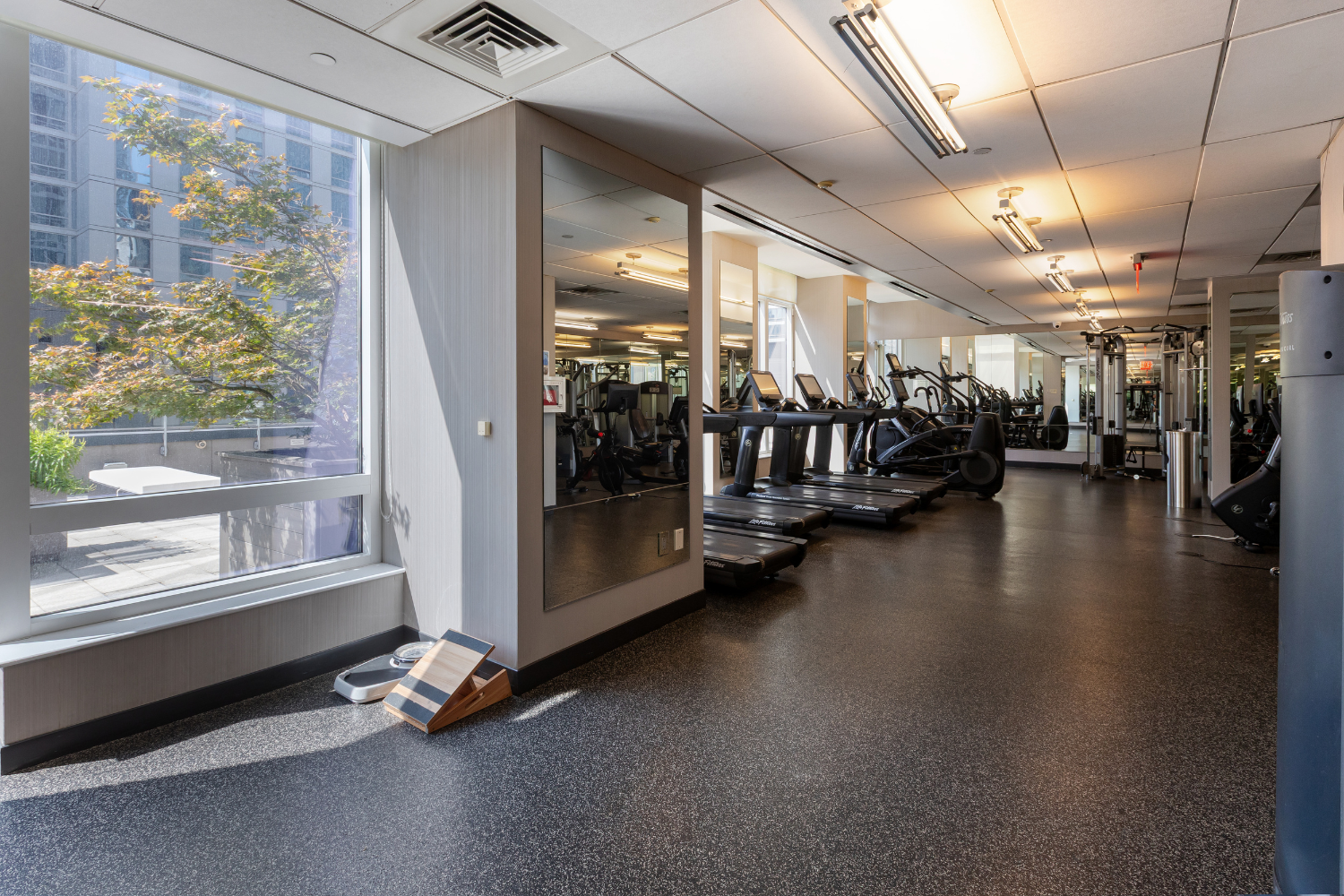 #14 photo, 247 W 46th Street, マンハッタン Theater District , NY 10036