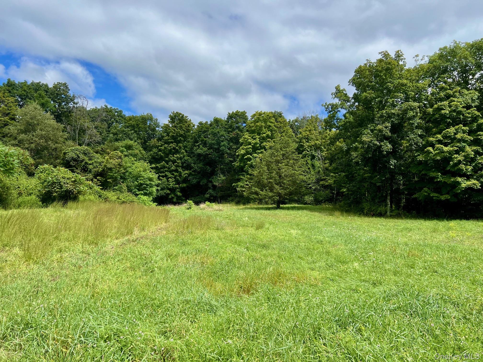 #6 photo, 544 Willow Brook Road, Clinton Corners , NY 12514