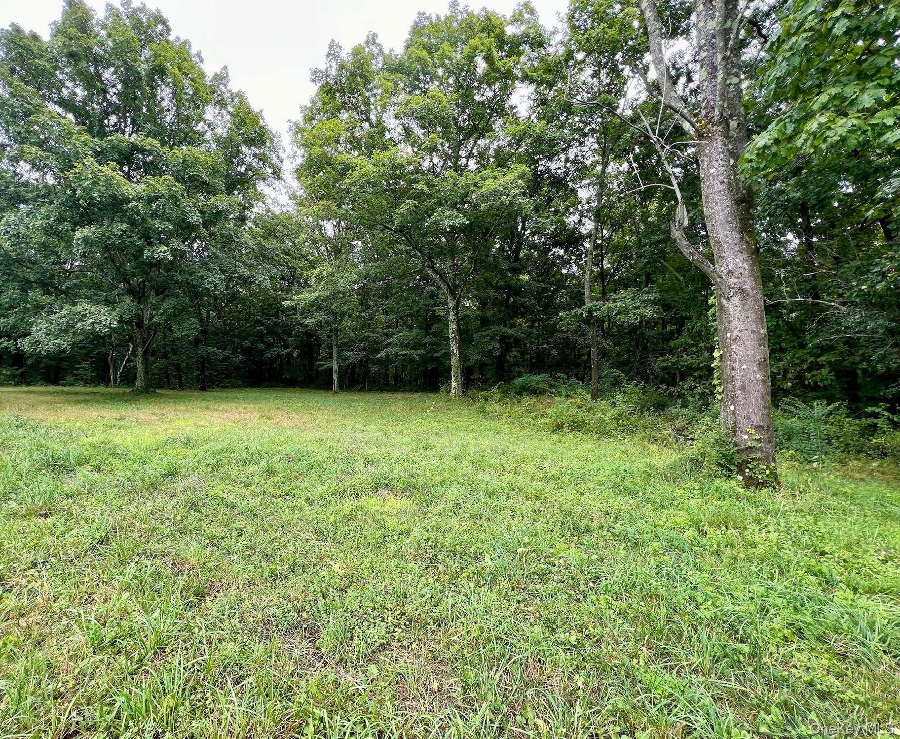 #8 photo, 544 Willow Brook Road, Clinton Corners , NY 12514