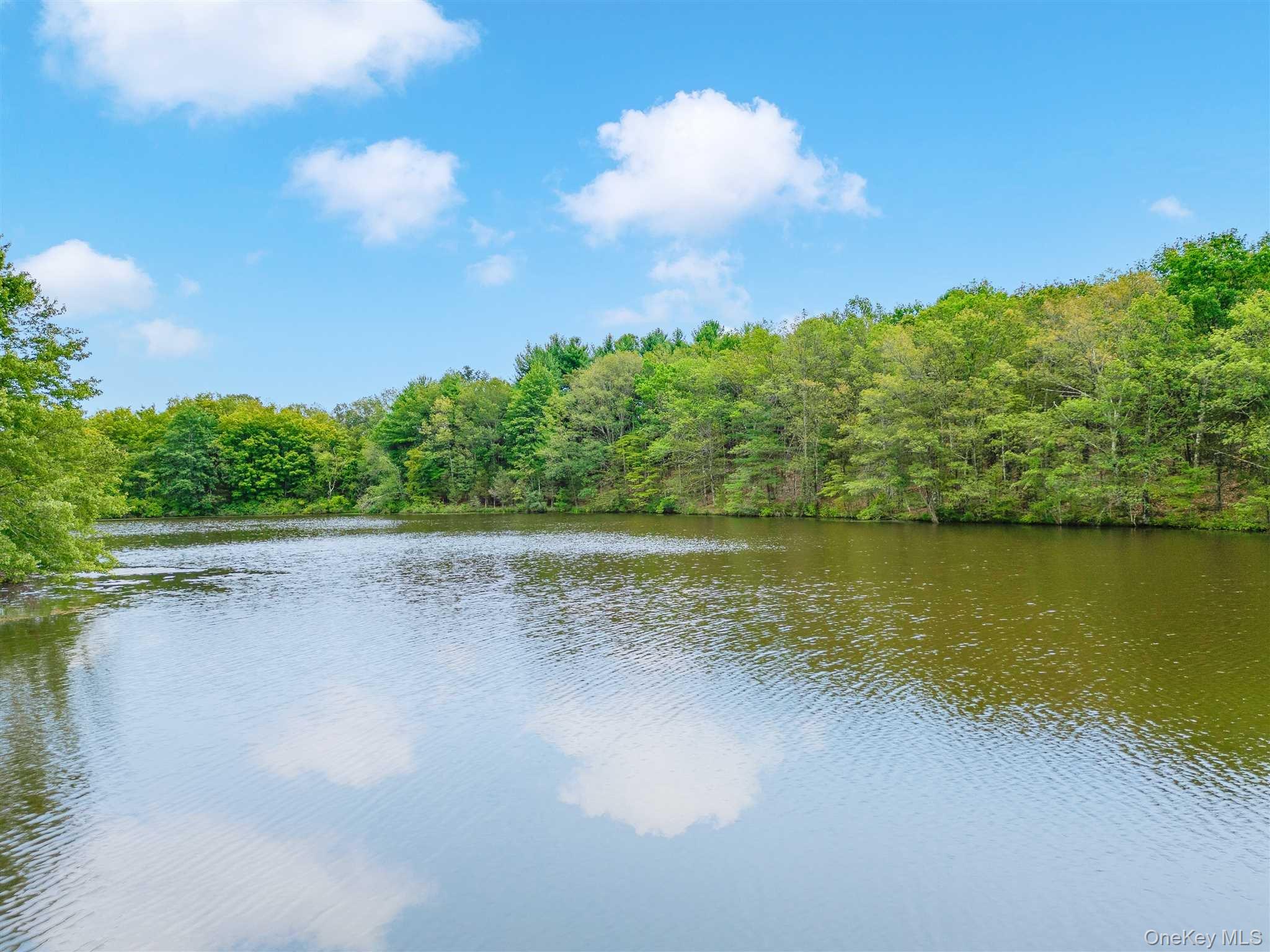 #4 photo, 238 PUMPKIN LANE REAR, Clinton Corners , NY 12514