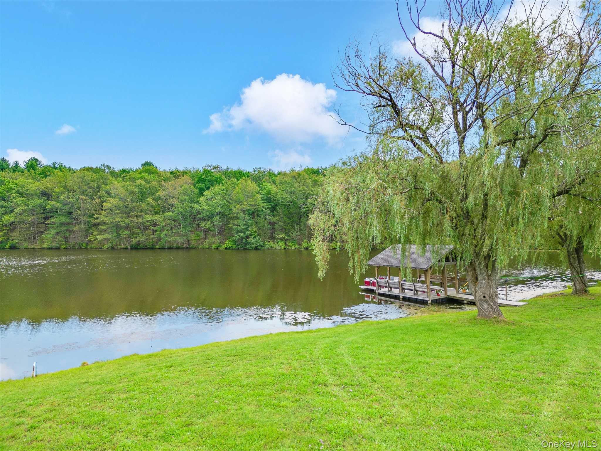 #6 photo, 238 PUMPKIN LANE REAR, Clinton Corners , NY 12514