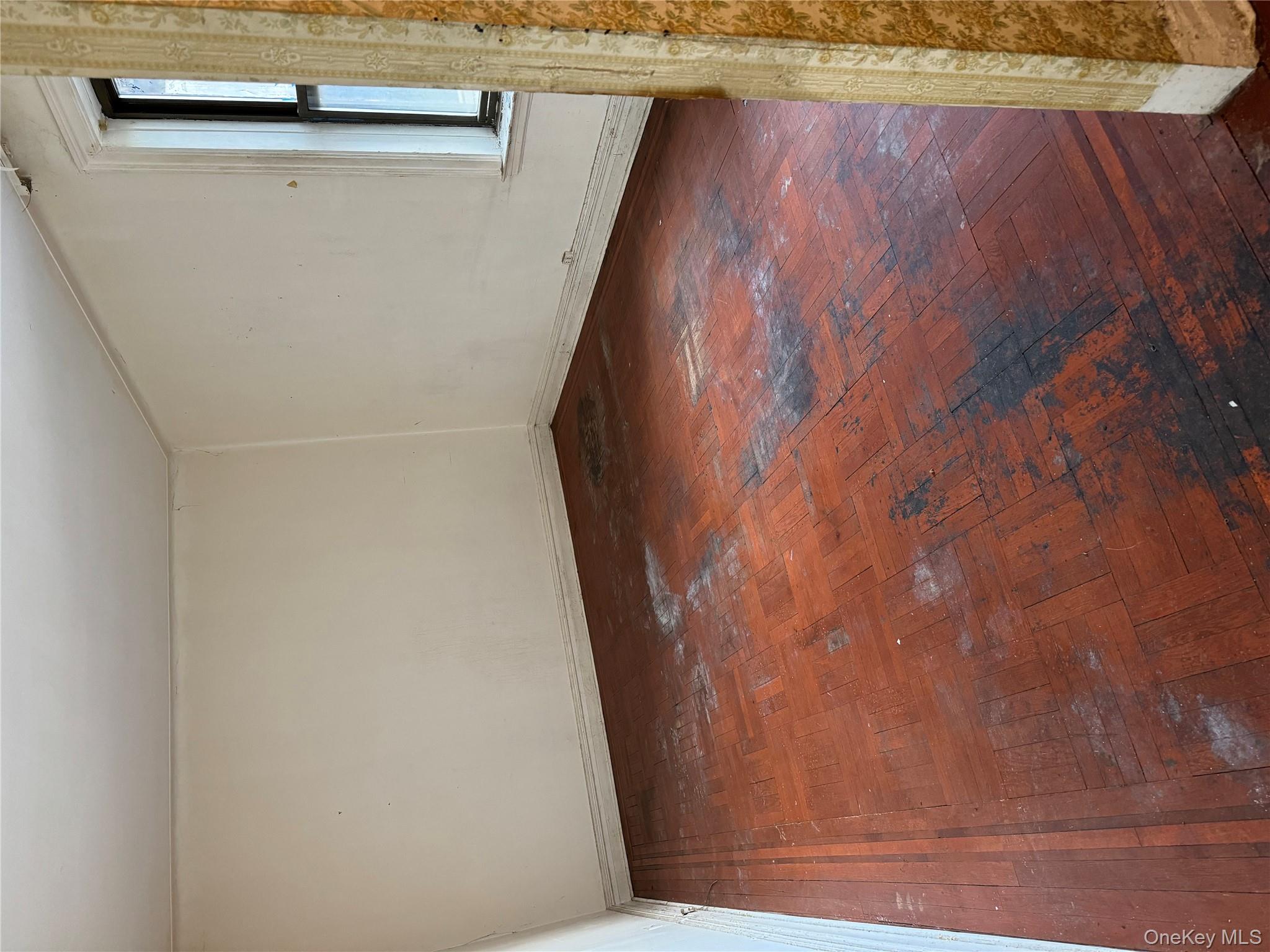 #3 photo, 2925 Matthews Avenue, ブロンクス区 Bronx , NY 10467