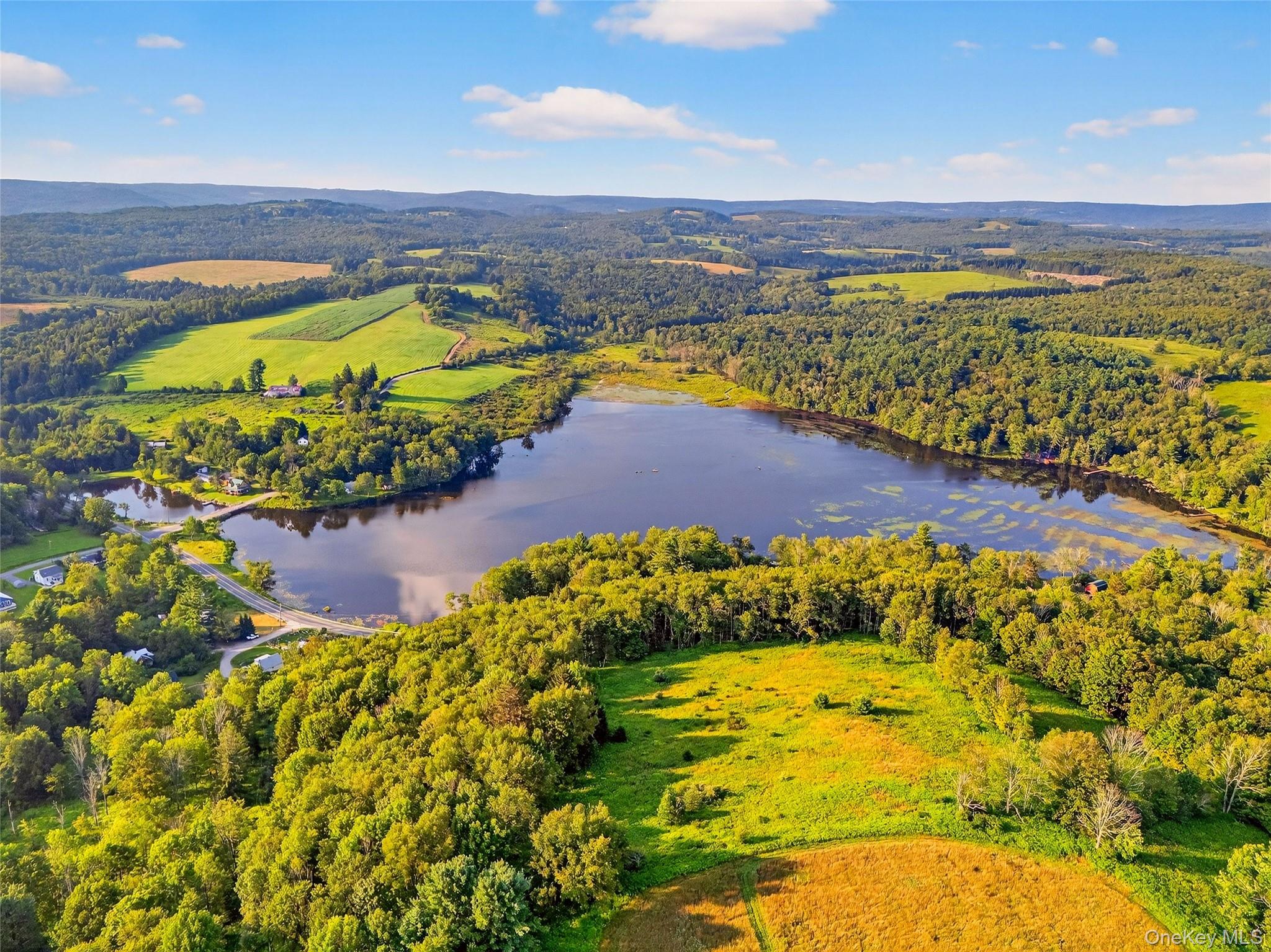 #5 photo, 987 Hurd Road, Swan Lake , NY 12783