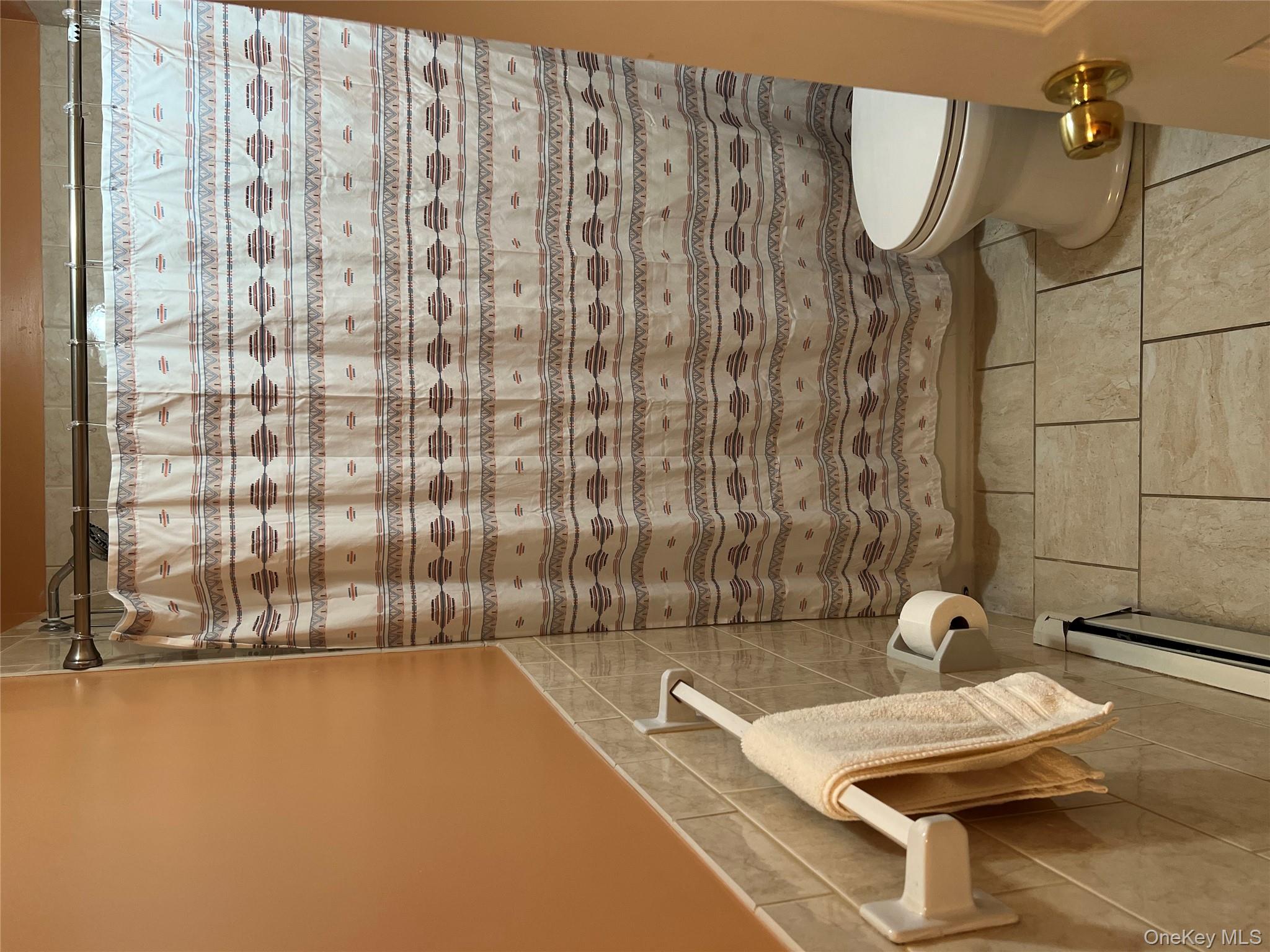 #6 photo, 121 E Pennywood Avenue, Roosevelt , NY 11575