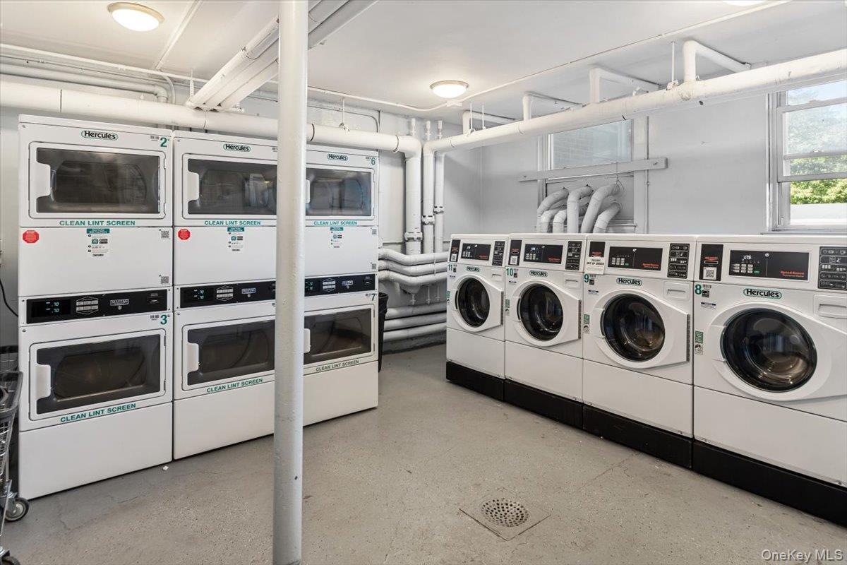 #19 photo, 95 N Broadway, White Plains , NY 10603