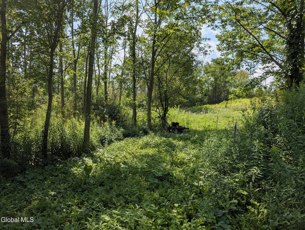 #11 photo, 7593 Western Turnpike, Duanesburg , NY 12053