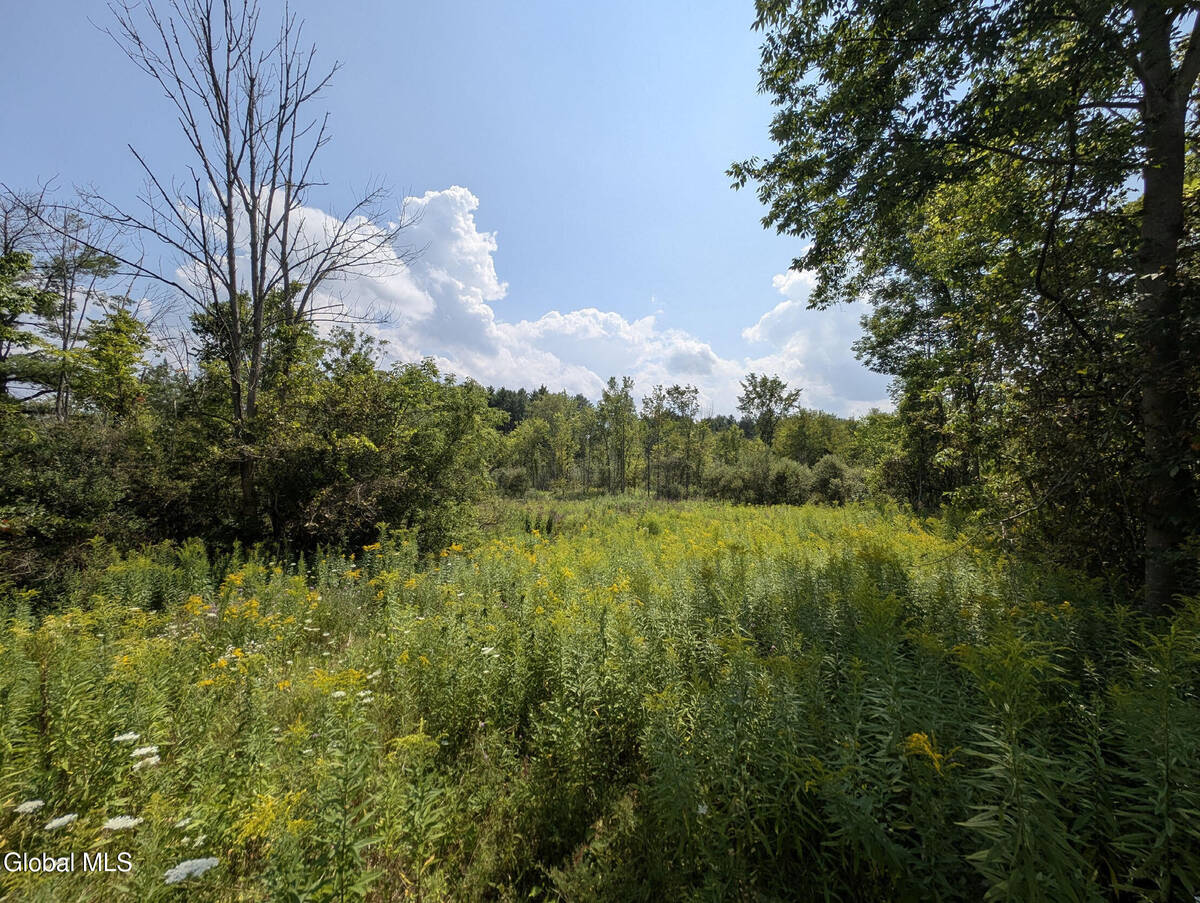 #12 photo, 7593 Western Turnpike, Duanesburg , NY 12053