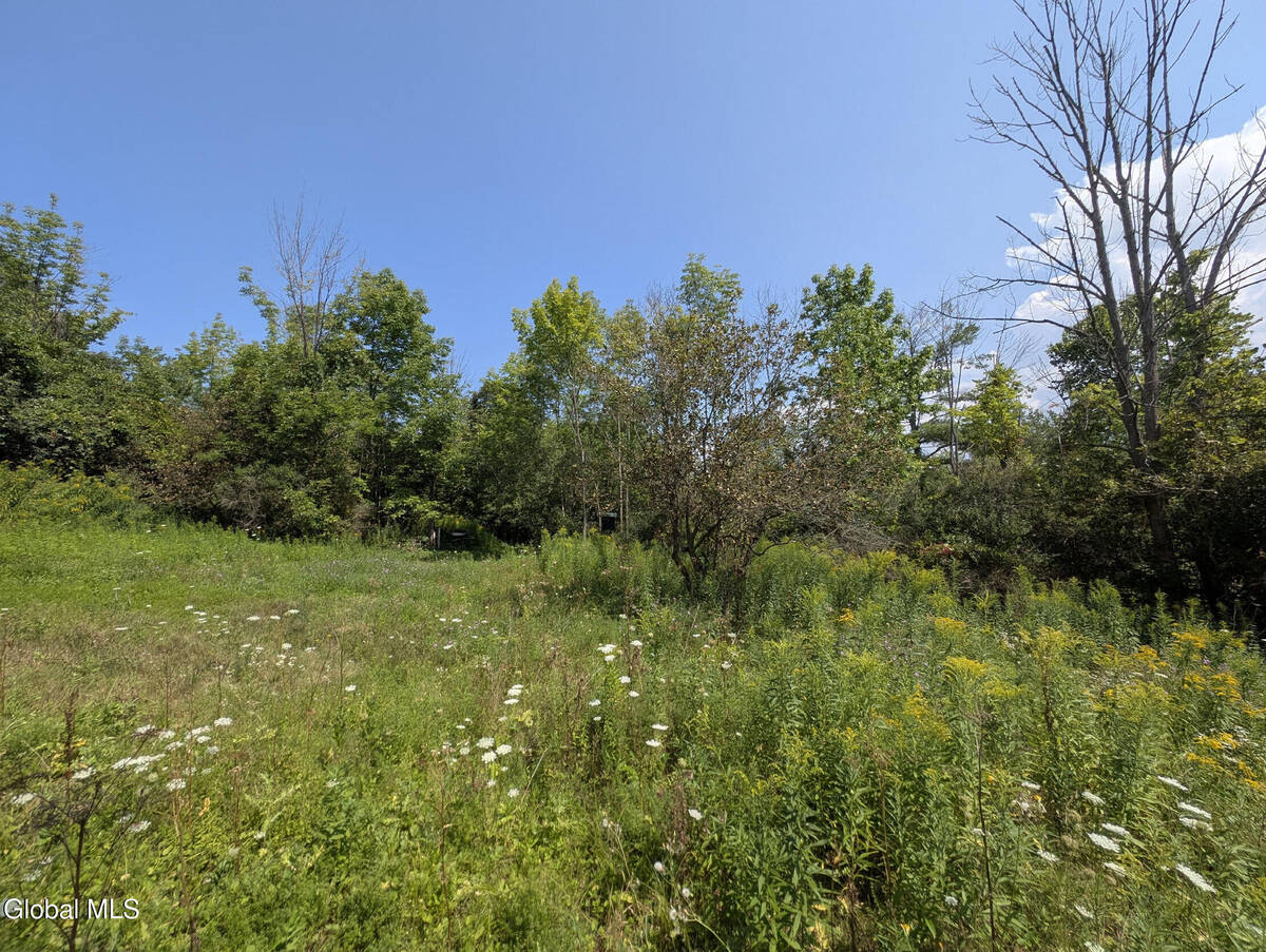 #13 photo, 7593 Western Turnpike, Duanesburg , NY 12053