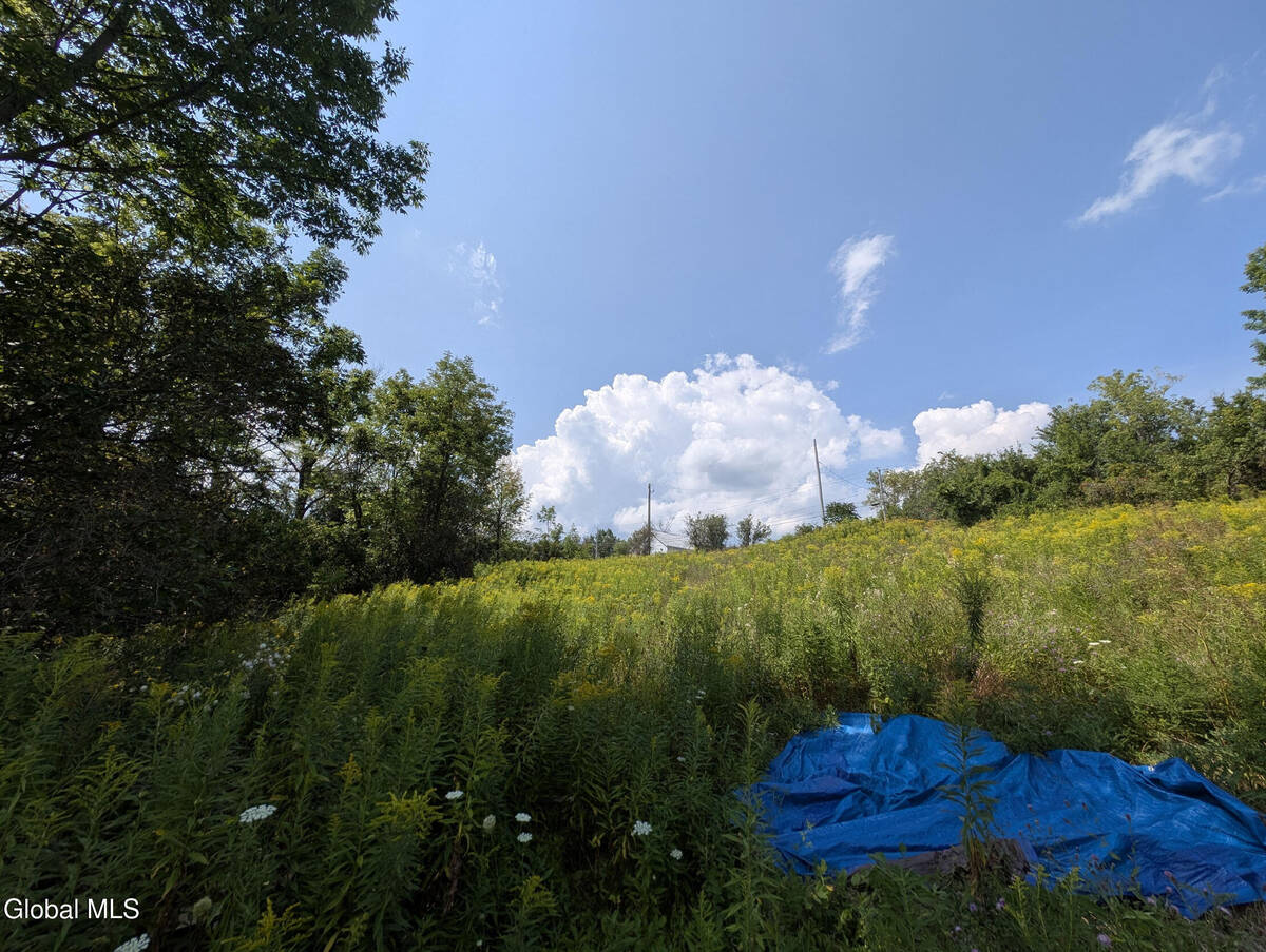 #16 photo, 7593 Western Turnpike, Duanesburg , NY 12053