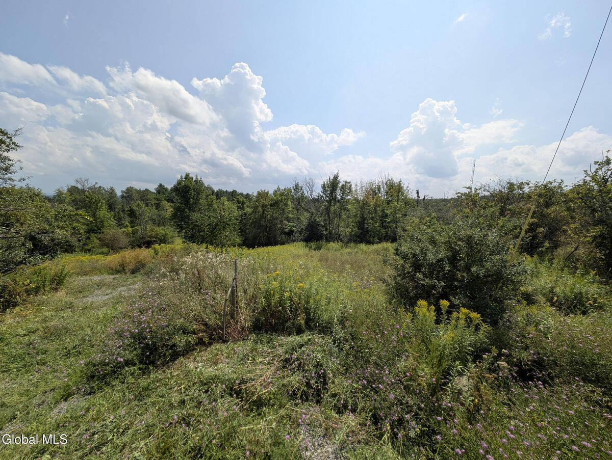 #2 photo, 7593 Western Turnpike, Duanesburg , NY 12053