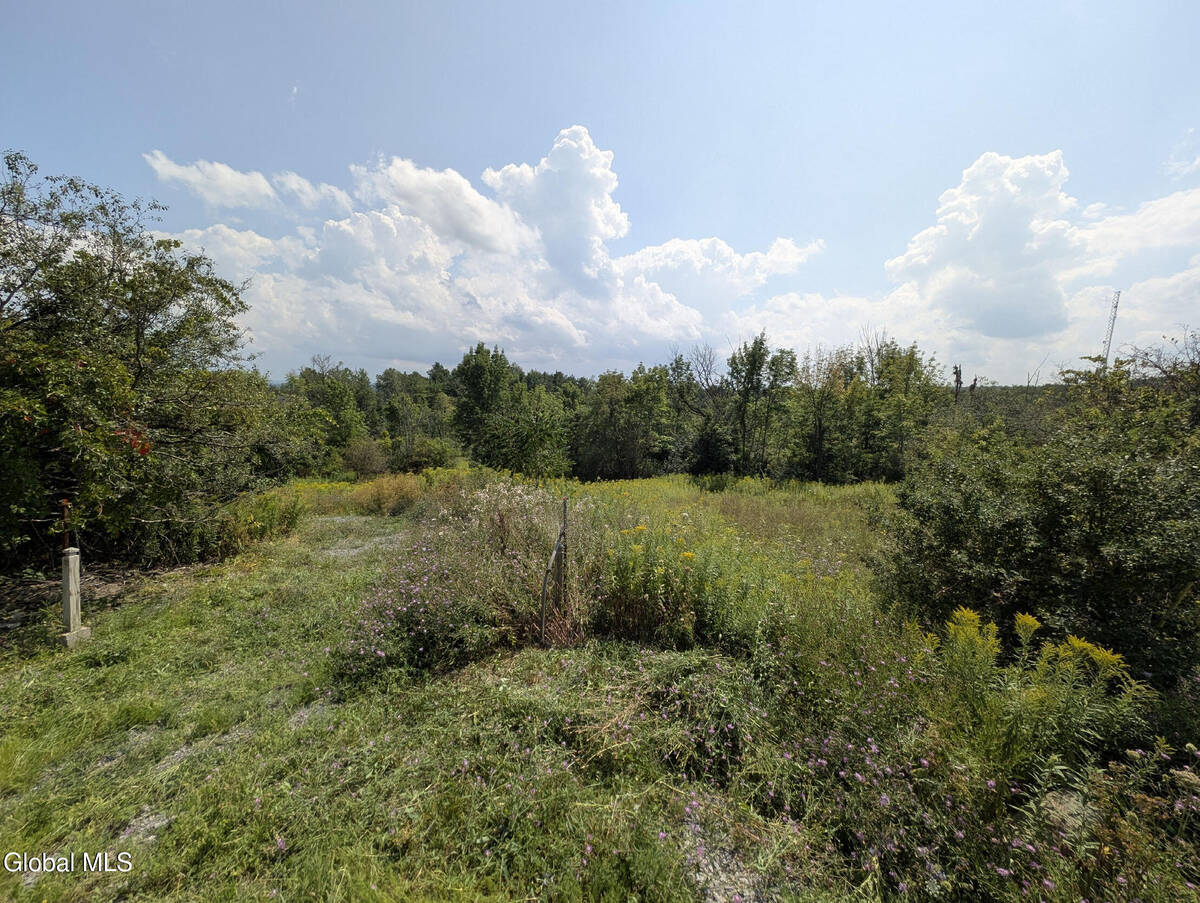 #4 photo, 7593 Western Turnpike, Duanesburg , NY 12053