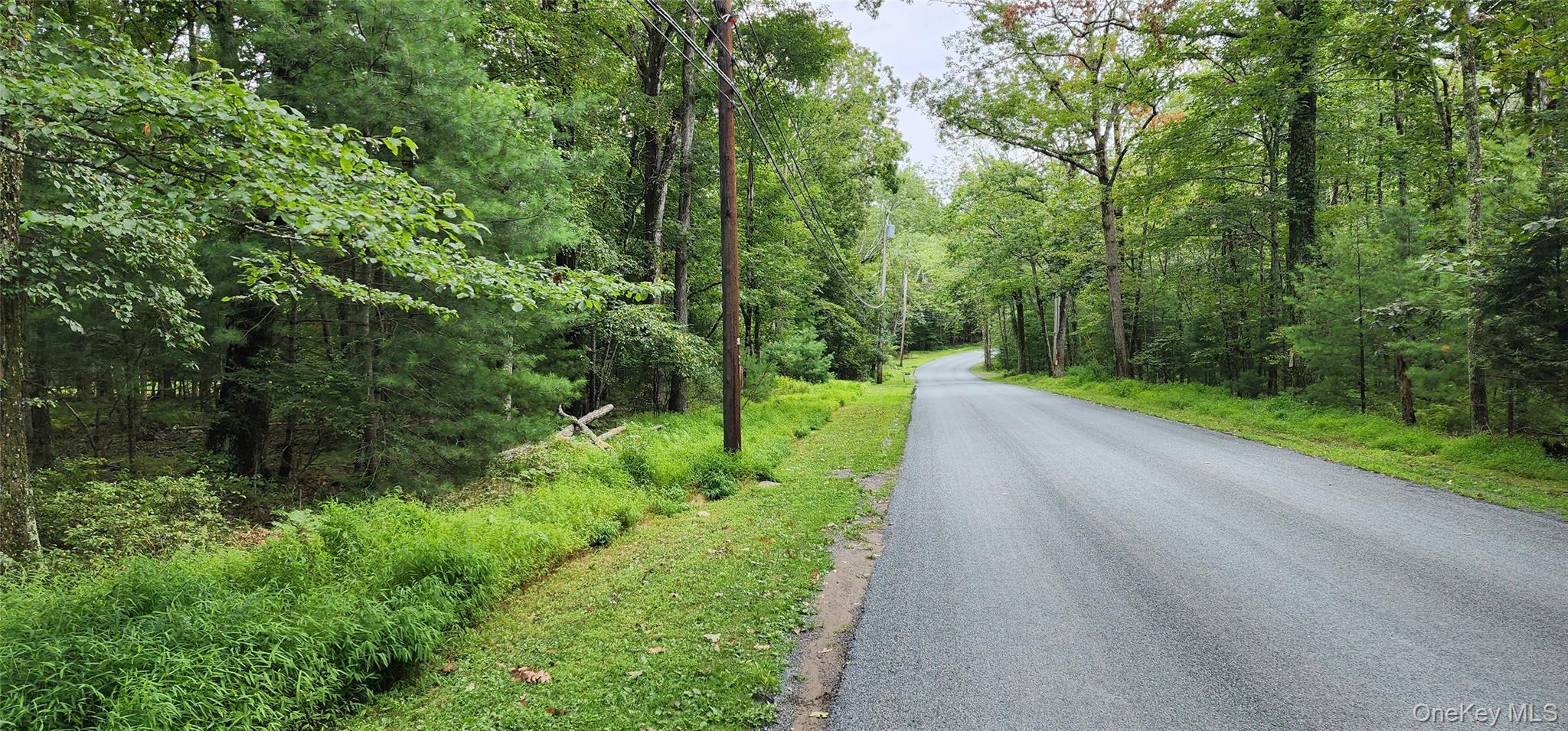 #1 photo, 128 Wilson Road, Sparrowbush , NY 12780