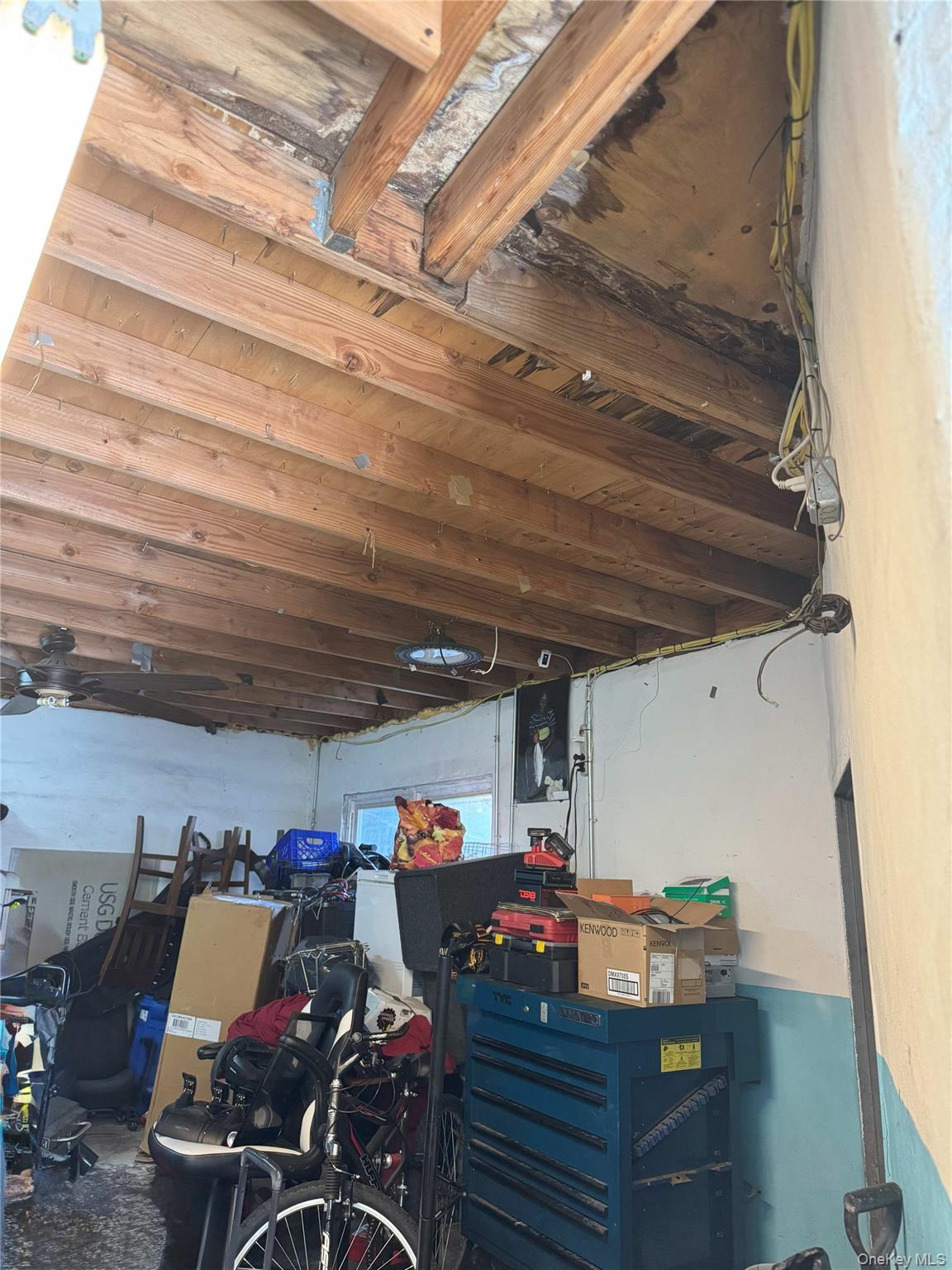 #3 photo, 761 Miller Avenue, ブルックリン区 Brooklyn , NY 11207