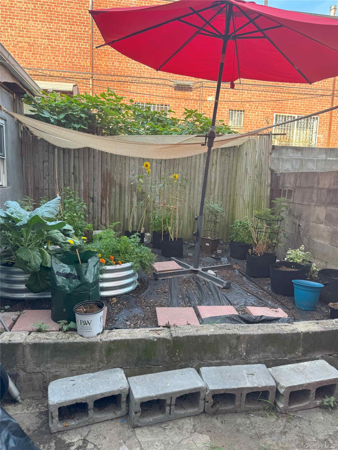 #4 photo, 761 Miller Avenue, ブルックリン区 Brooklyn , NY 11207