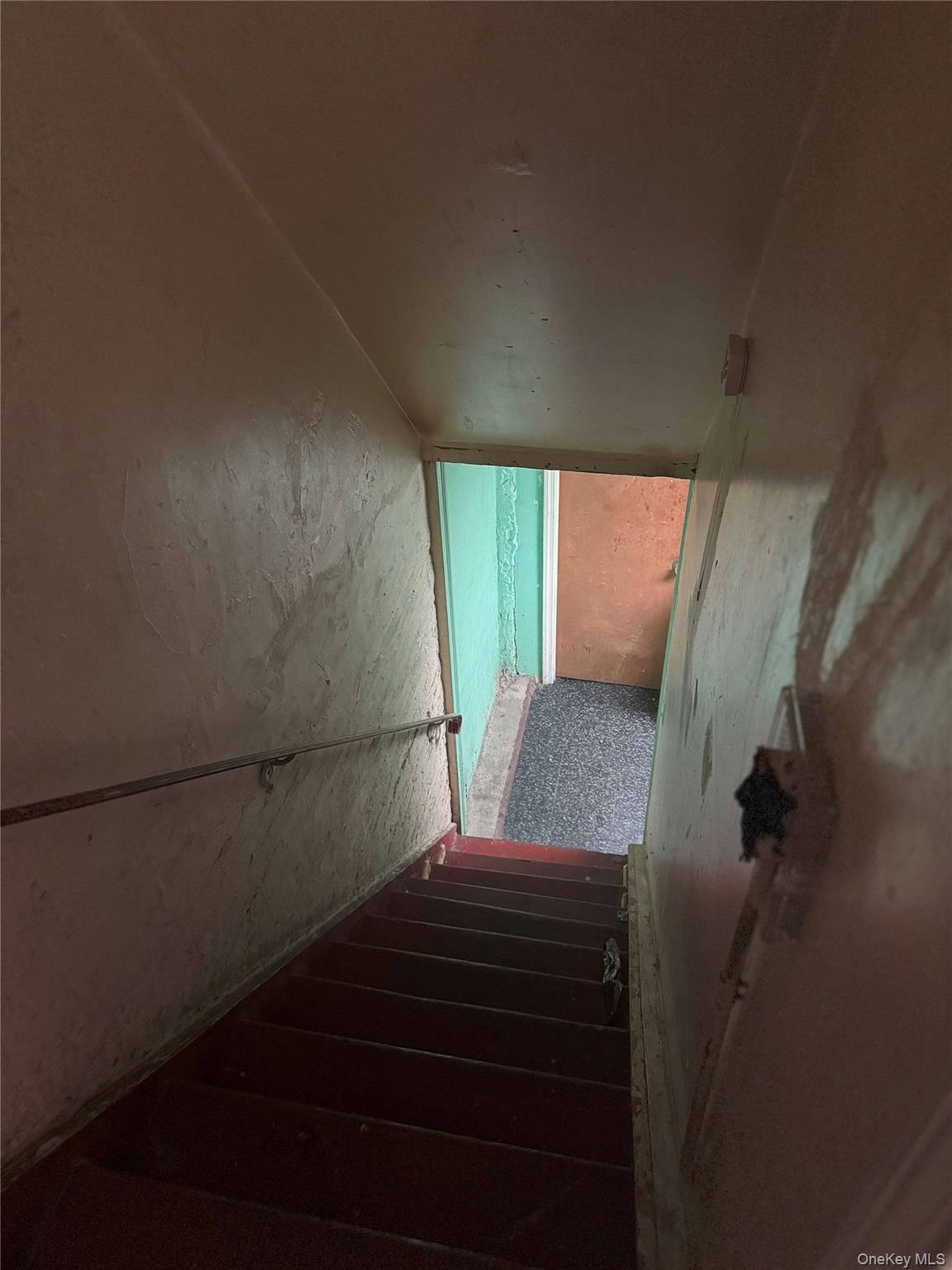 #8 photo, 761 Miller Avenue, ブルックリン区 Brooklyn , NY 11207