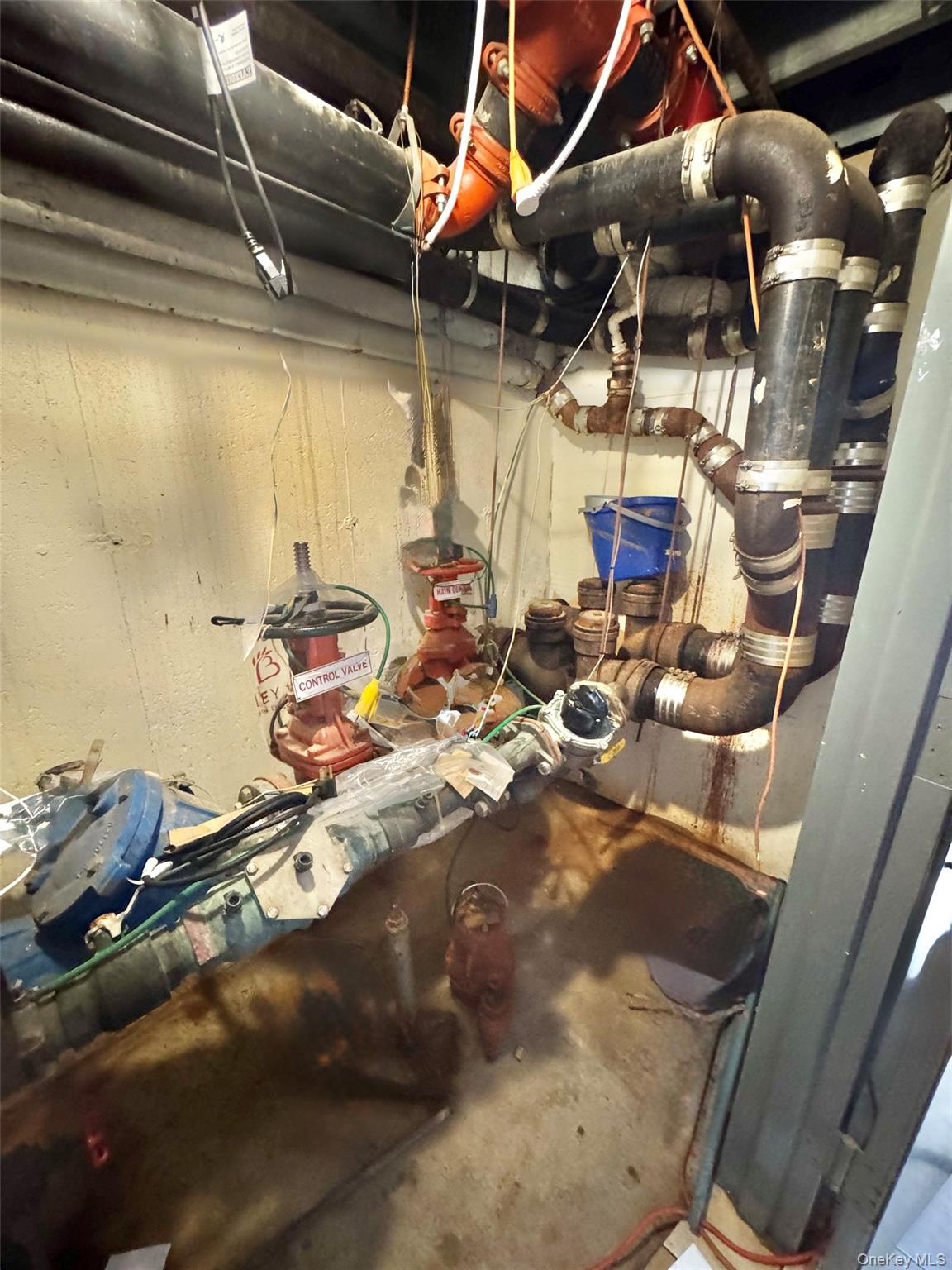 #6 photo, 54 Avenue W, ブルックリン区 Brooklyn , NY 11223