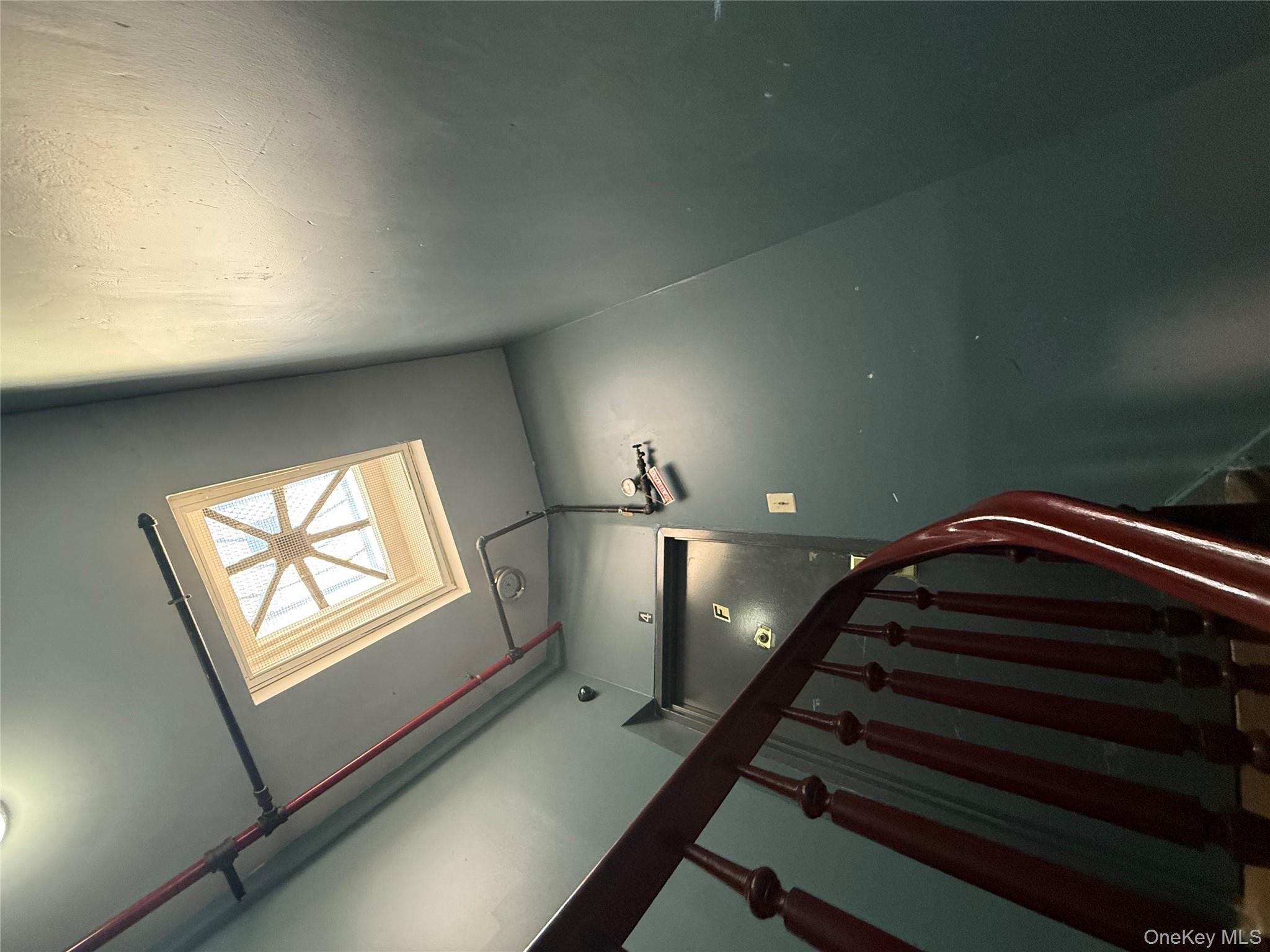 #7 photo, 293 Putnam Avenue, ブルックリン区 Brooklyn , NY 11216