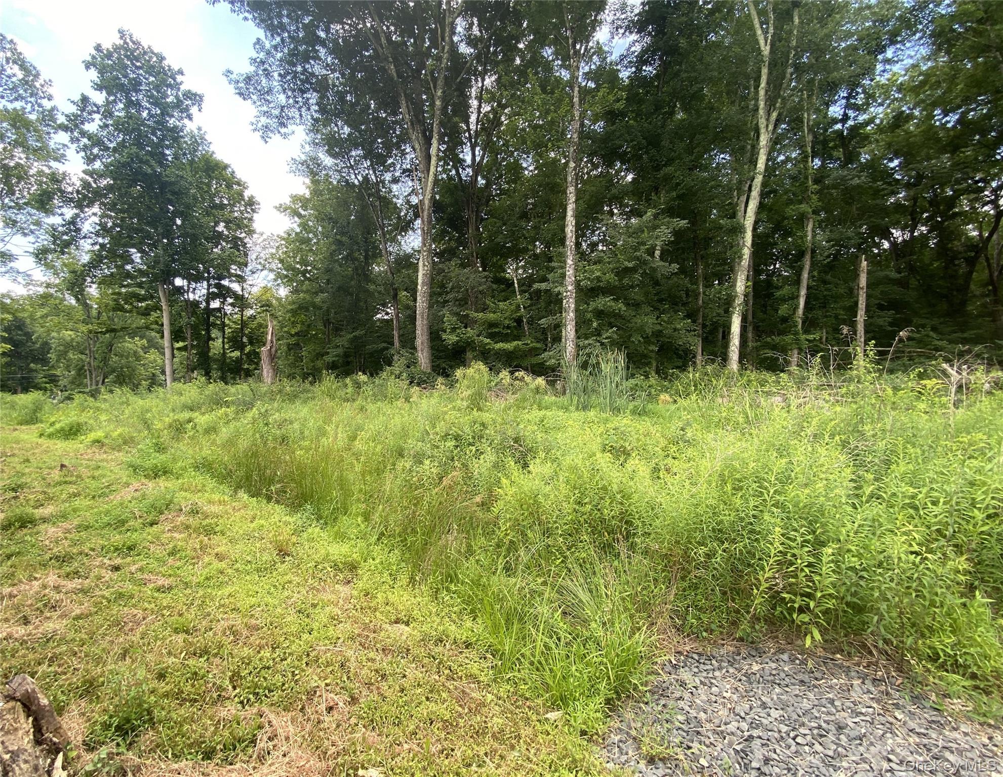 #17 photo, 2823 NY52, Wallkill , NY 12566