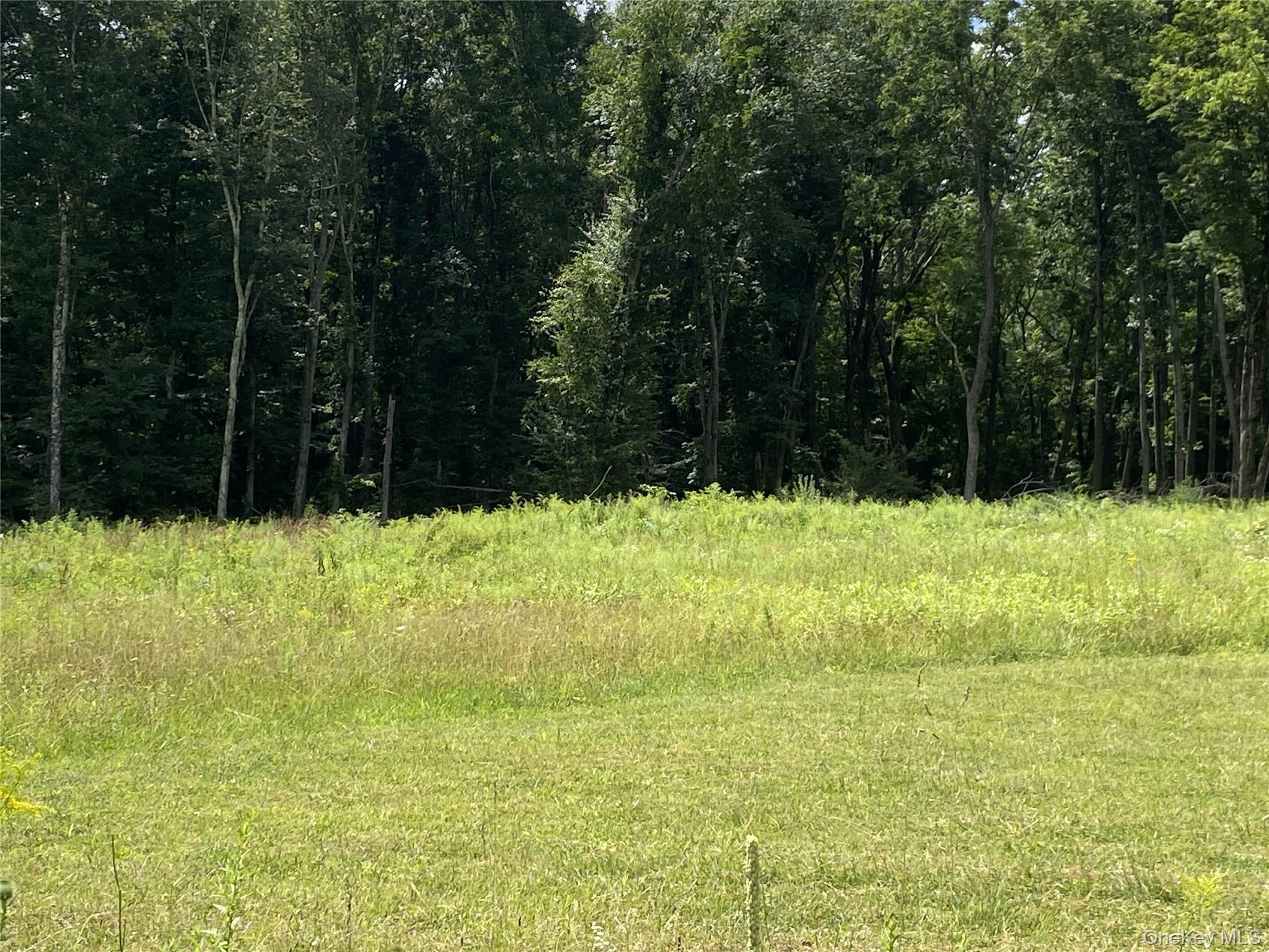 #18 photo, 2823 NY52, Wallkill , NY 12566