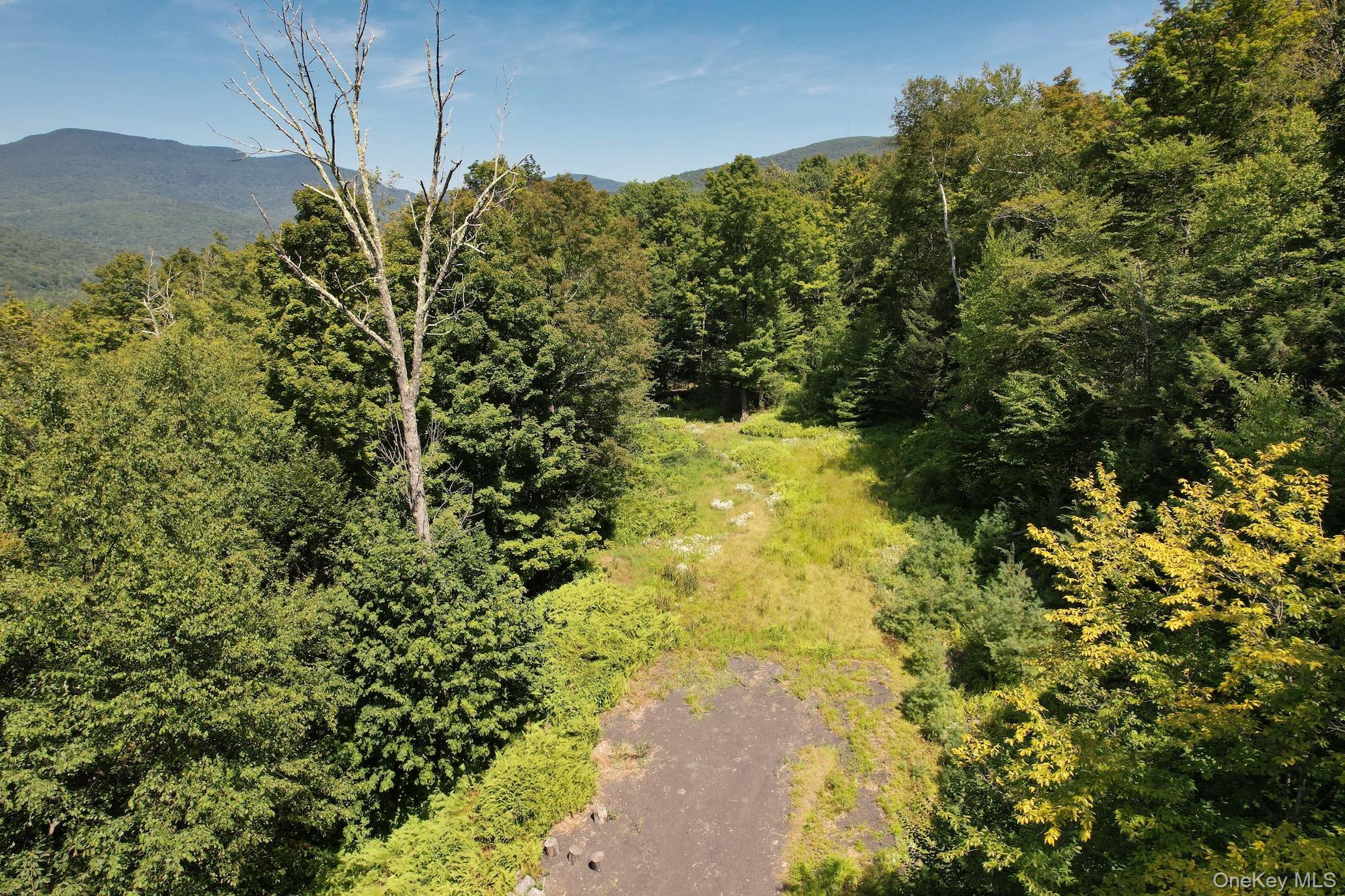 #12 photo, TBD MacDaniel Road, Bearsville , NY 12409