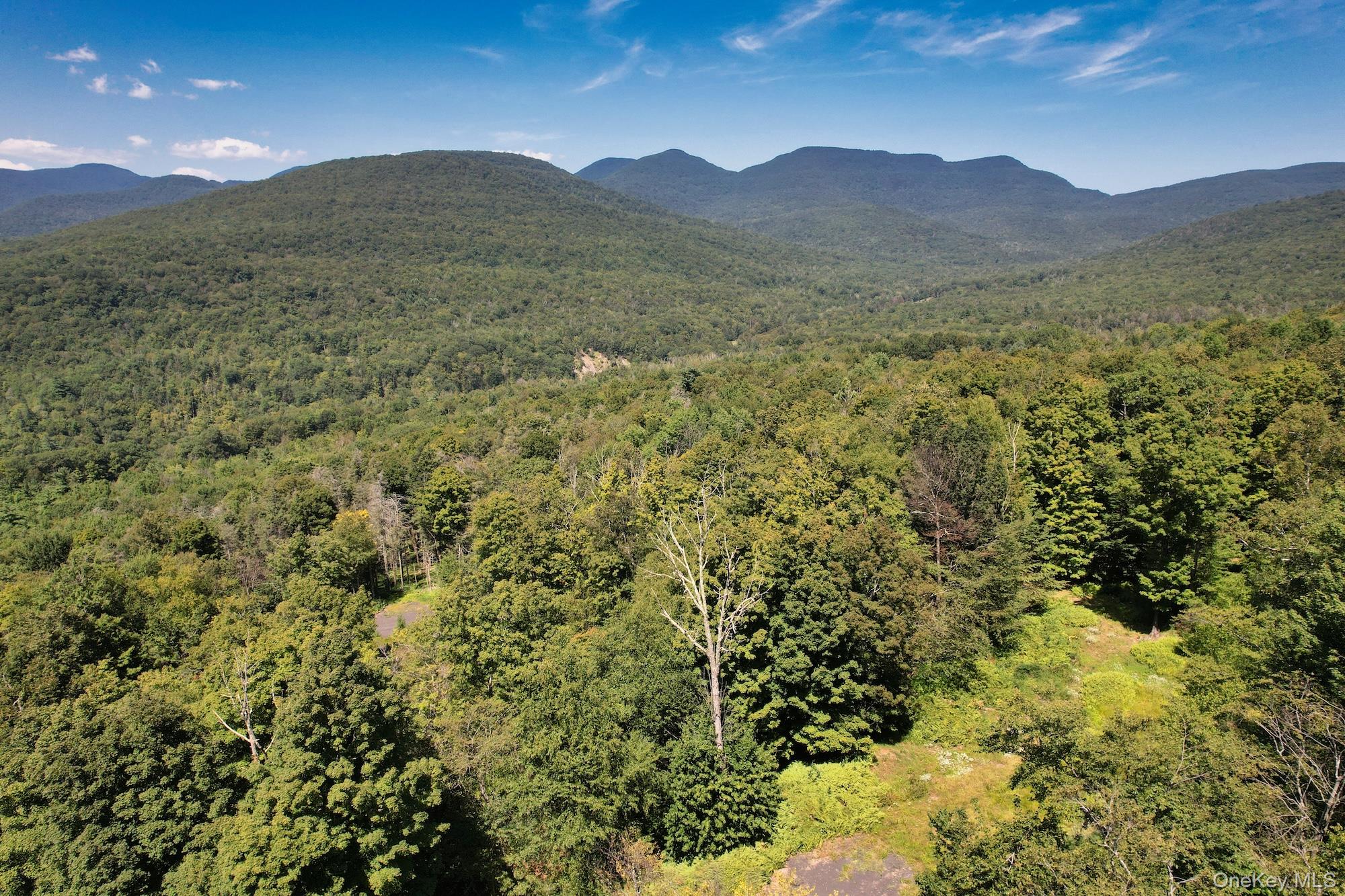 #14 photo, TBD MacDaniel Road, Bearsville , NY 12409