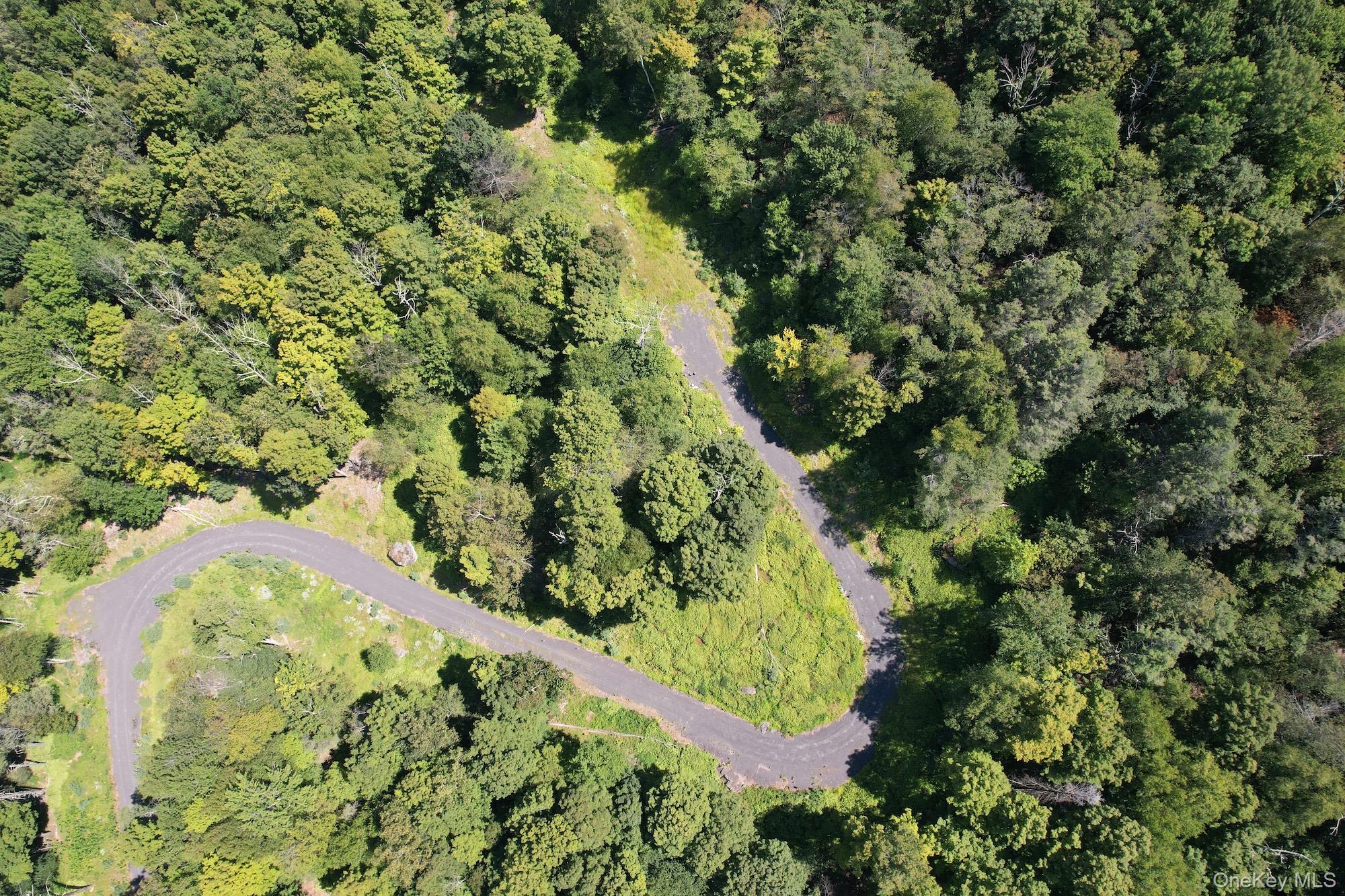 #4 photo, TBD MacDaniel Road, Bearsville , NY 12409