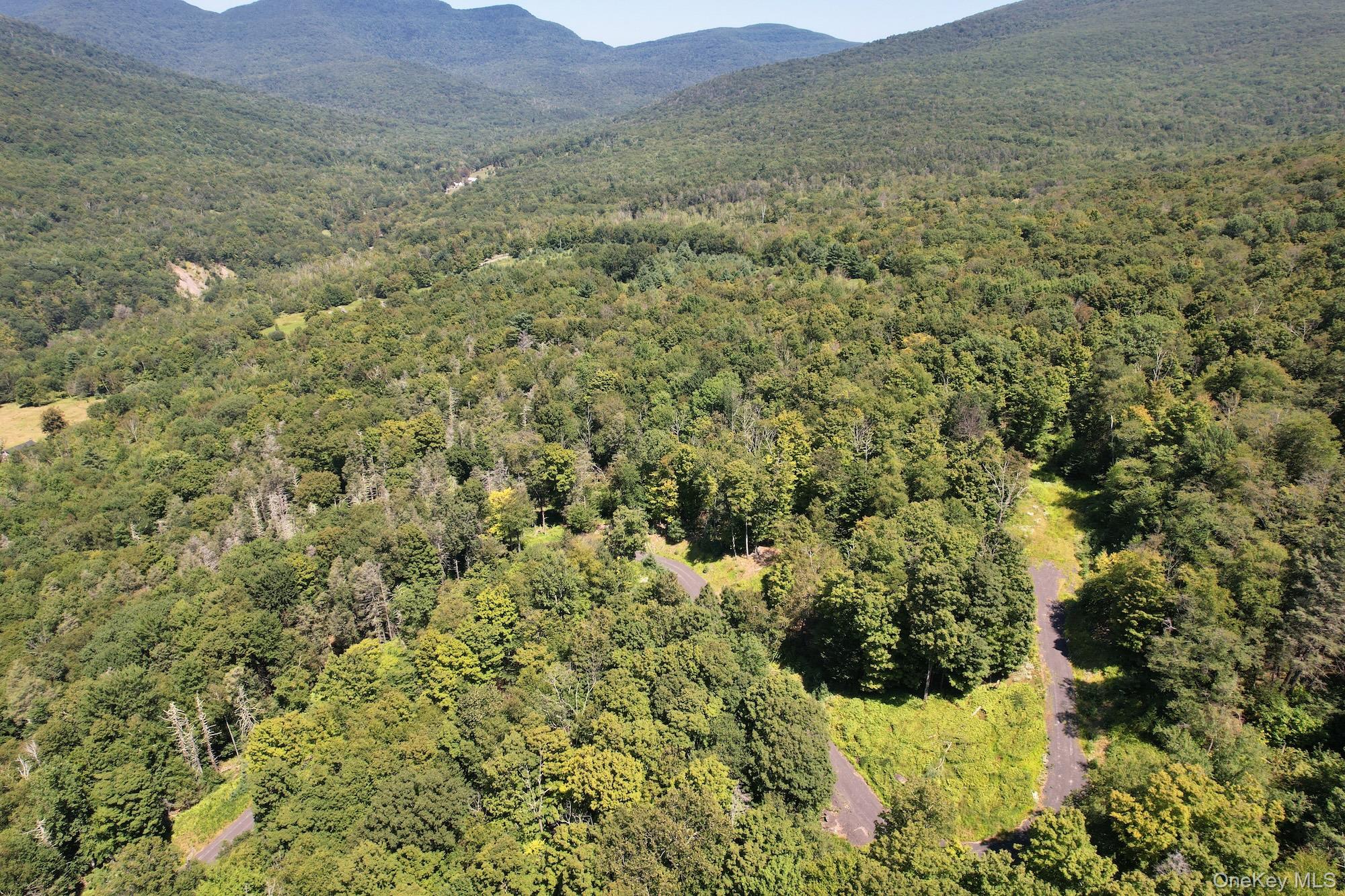 #5 photo, TBD MacDaniel Road, Bearsville , NY 12409