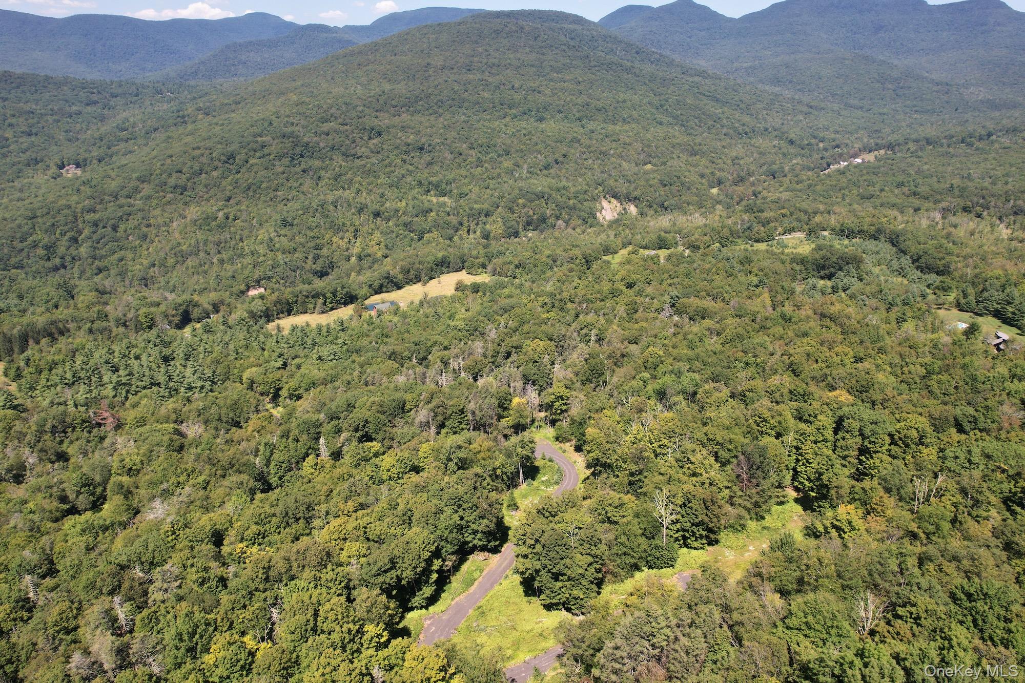 #7 photo, TBD MacDaniel Road, Bearsville , NY 12409