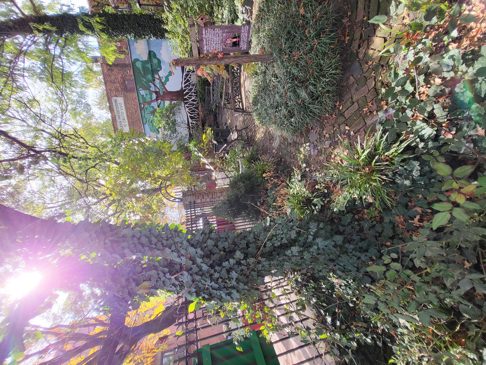 #8 photo, 340 ATLANTIC Avenue, ブルックリン区 Boerum Hill , NY 11201