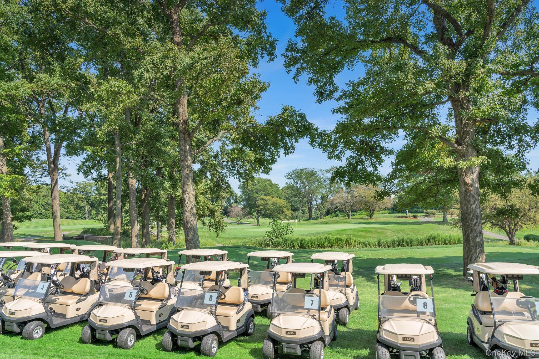 #20 photo, 27110 Grand Central Parkway, クイーンズ区 Floral Park , NY 11005