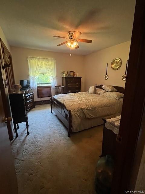 #8 photo, 17 Watson, Roscoe , NY 12776