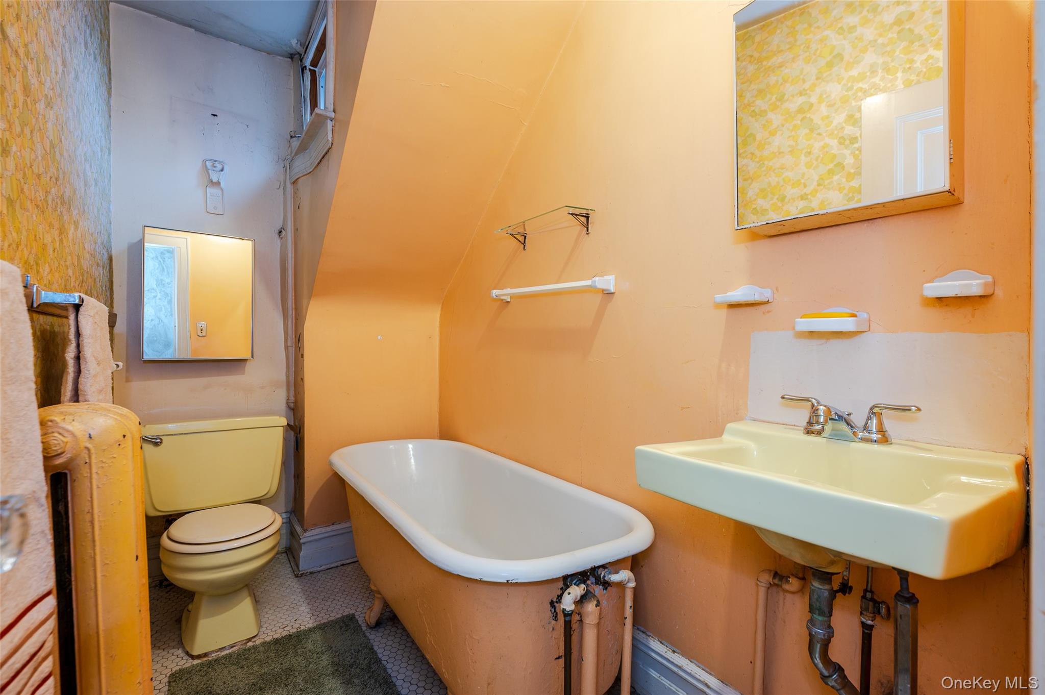 #19 photo, 3816 Glenwood Road, ブルックリン区 Brooklyn , NY 11210