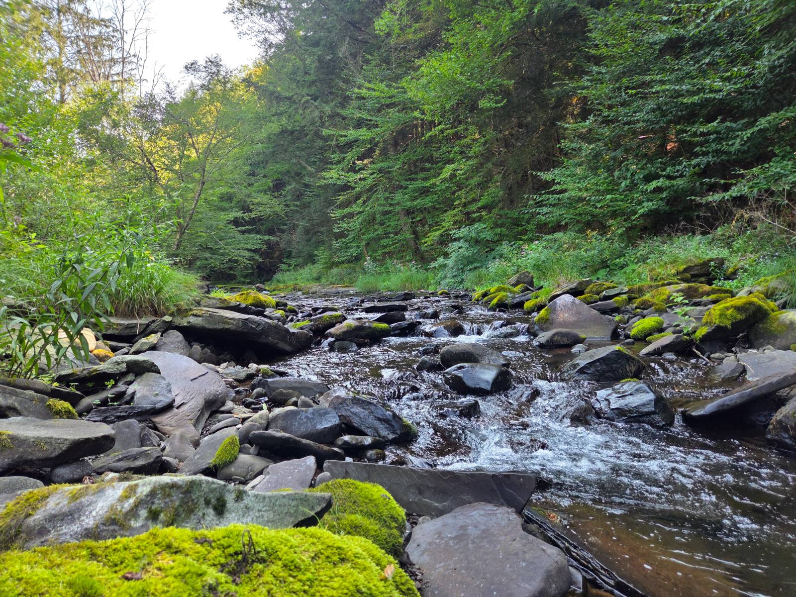 #31 photo, 1620 County Highway 37, Fleischmanns , NY 12430