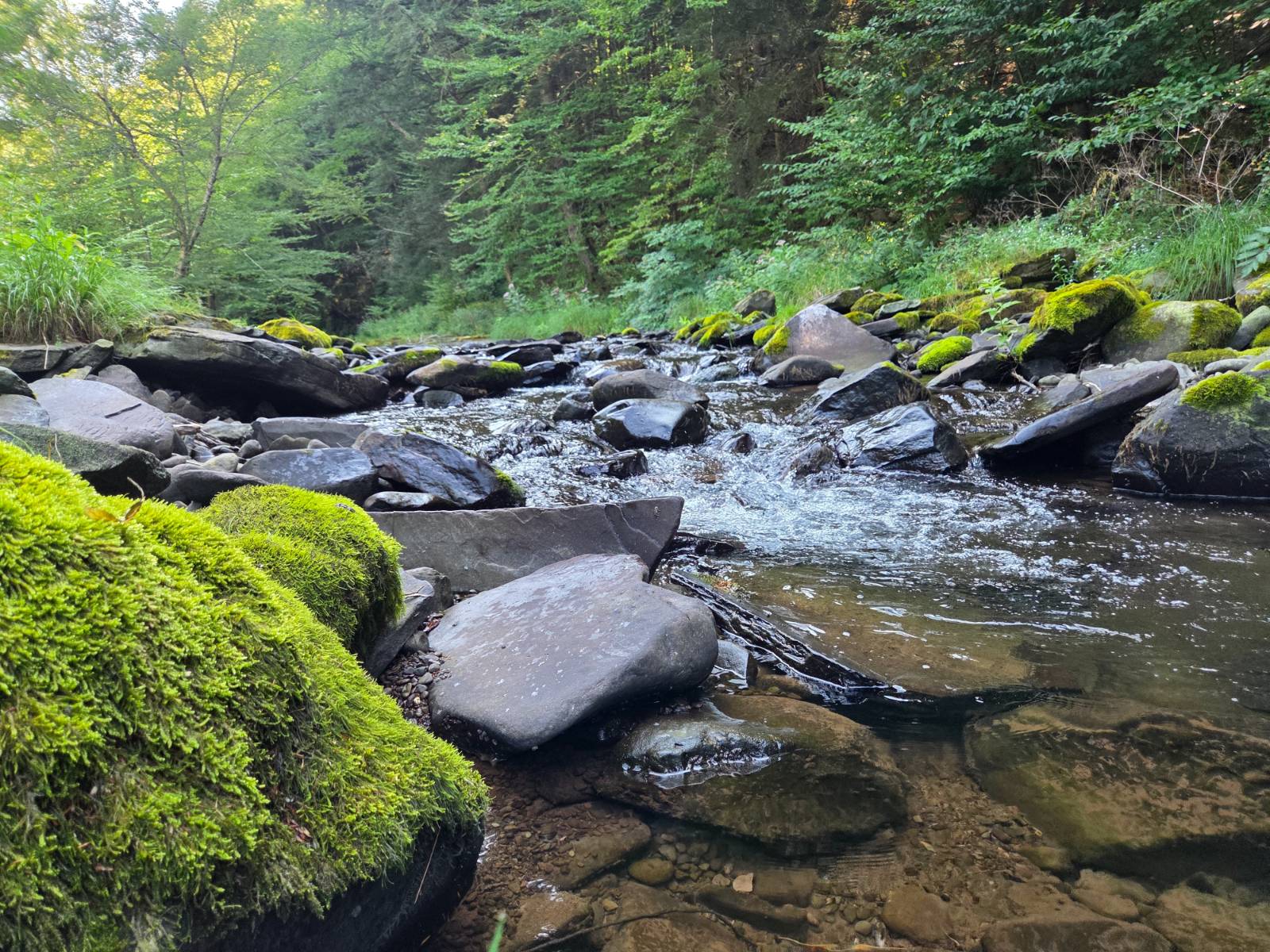 #6 photo, 1620 County Highway 37, Fleischmanns , NY 12430