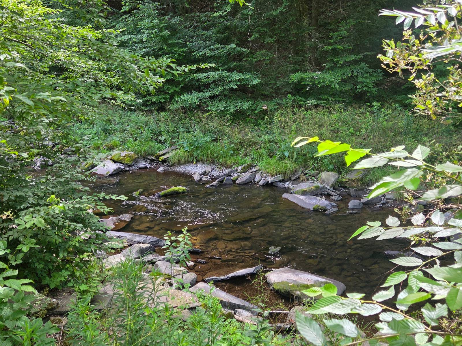 #7 photo, 1620 County Highway 37, Fleischmanns , NY 12430