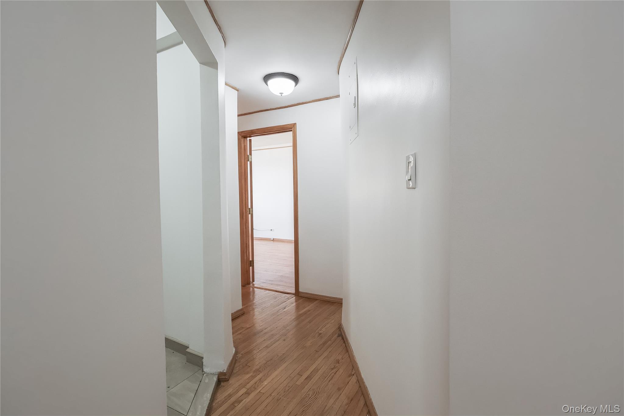 #9 photo, 3250 Coney Island Ave., ブルックリン区 Brooklyn , NY 11235