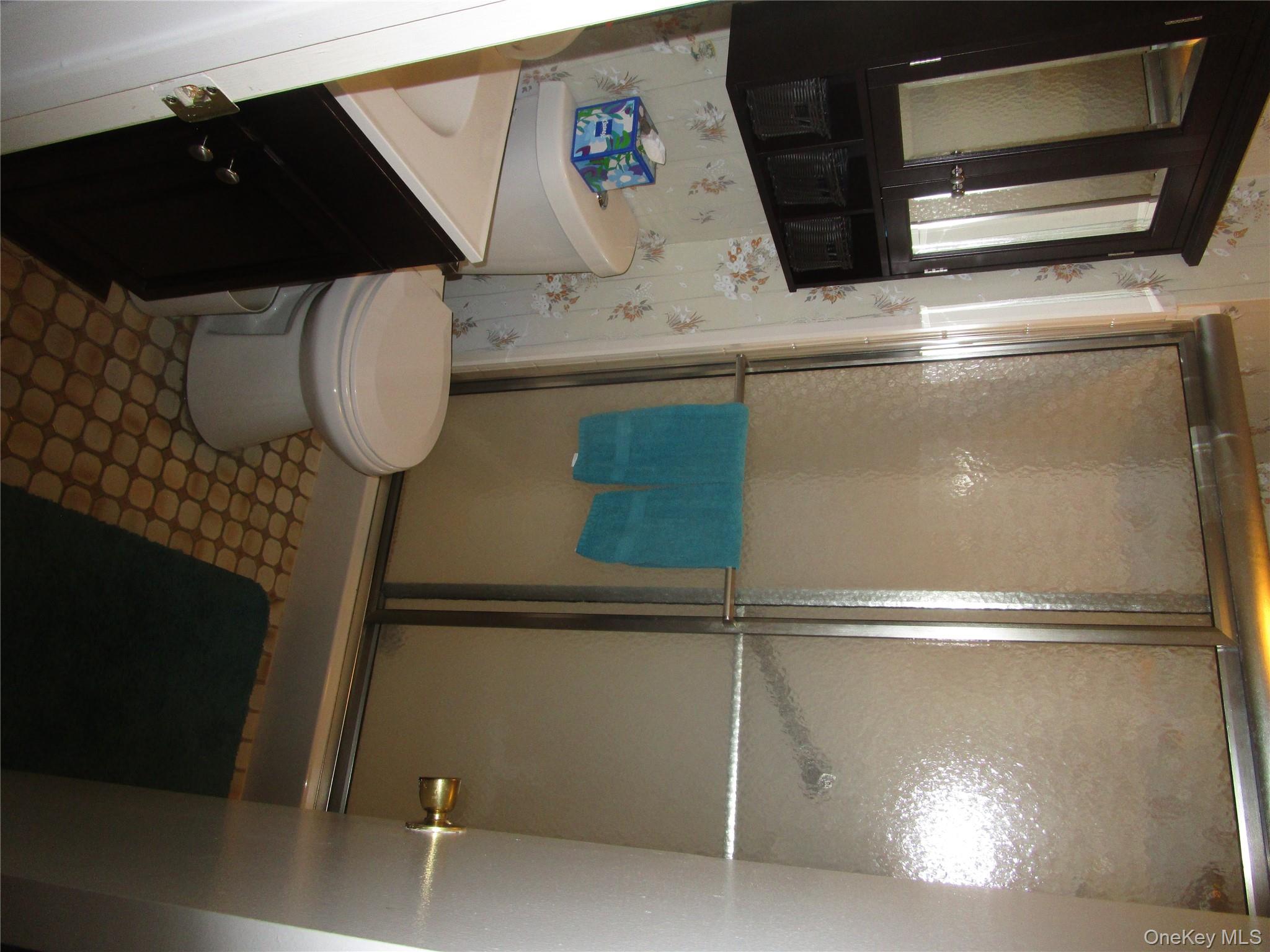 #7 photo, 217 Birchwood Road, サフォーク郡 Coram , NY 11727