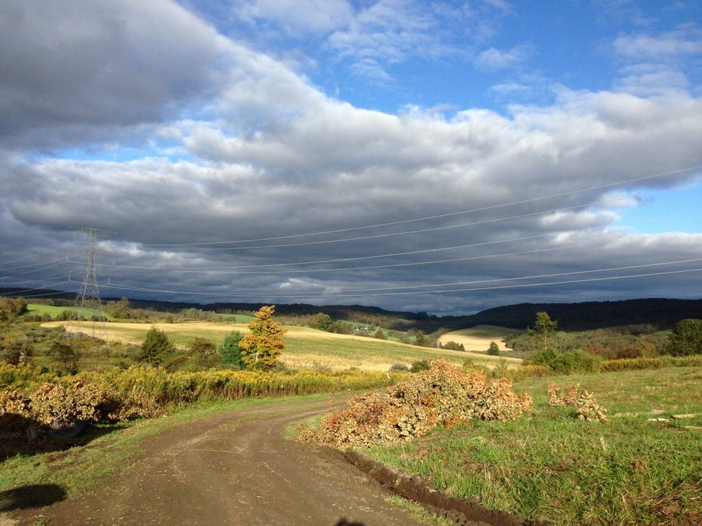 #1 photo, 2085 CR19, Burlington Flats , NY 13315