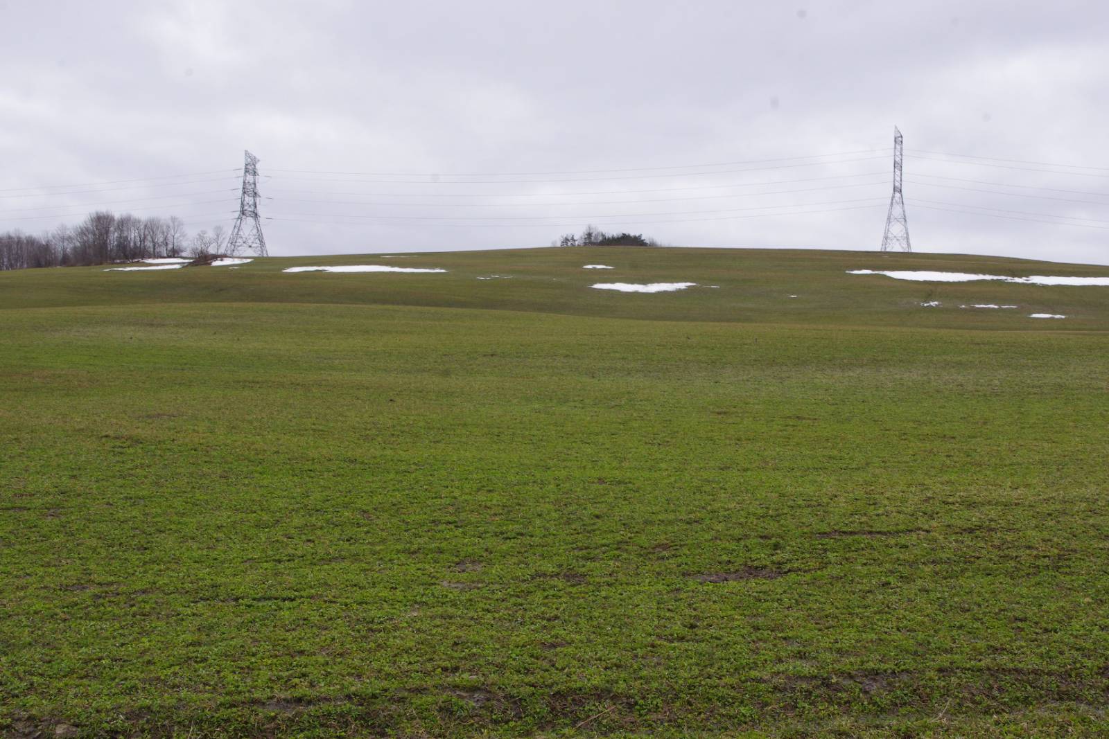 #6 photo, 2085 CR19, Burlington Flats , NY 13315