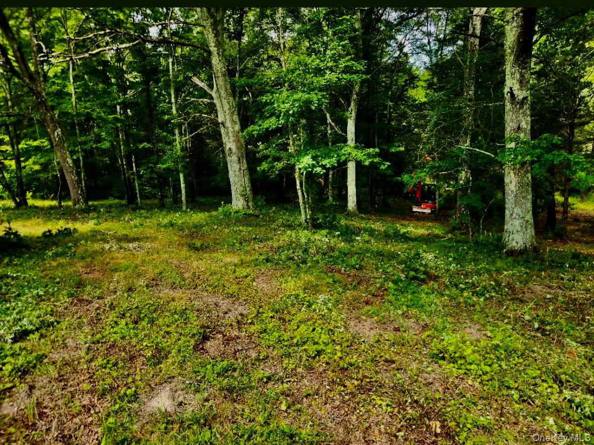 #1 photo, 12 Talleur Road, Clinton Corners , NY 