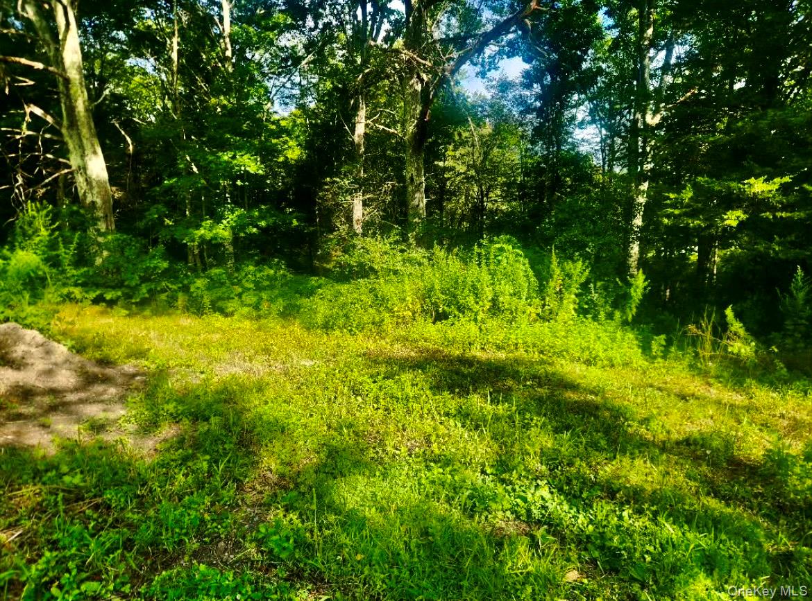 #4 photo, 12 Talleur Road, Clinton Corners , NY 