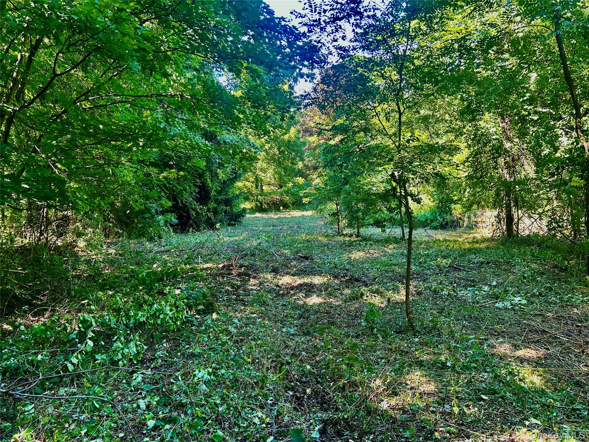 #5 photo, 12 Talleur Road, Clinton Corners , NY 