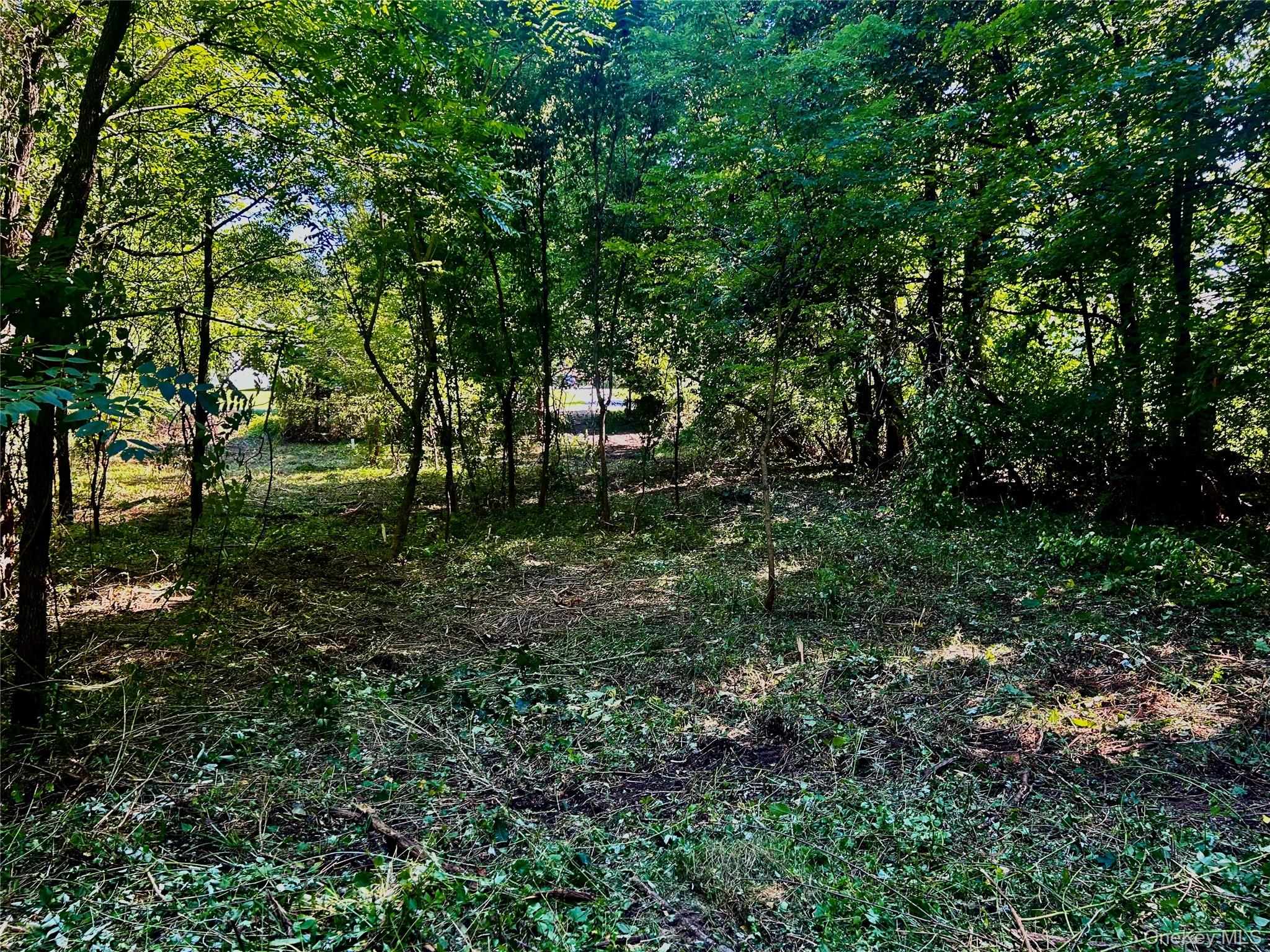 #7 photo, 12 Talleur Road, Clinton Corners , NY 