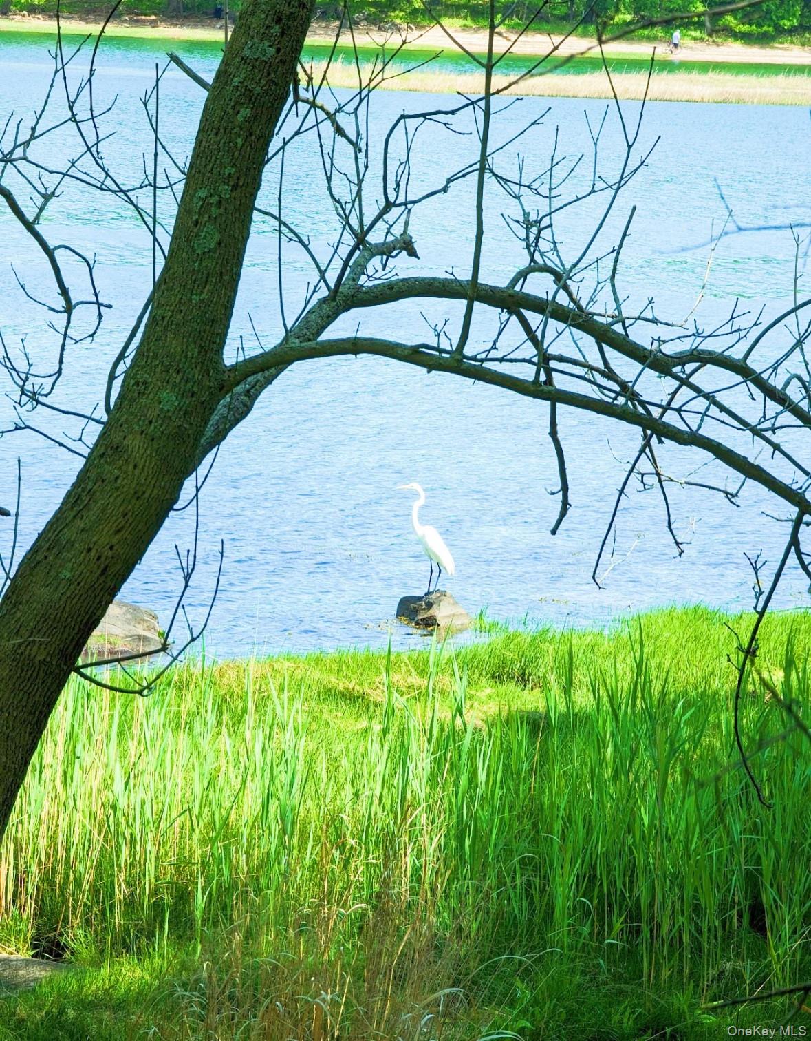 #13 photo, 57 Pennyfield Cp Dr, ブロンクス区 Bronx , NY 10465