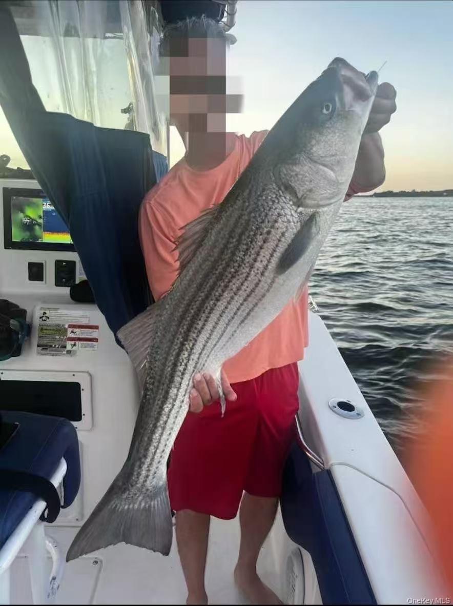 #20 photo, 57 Pennyfield Cp Dr, ブロンクス区 Bronx , NY 10465